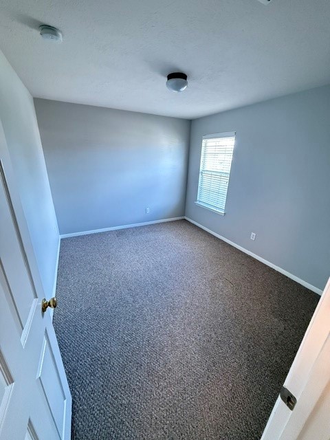 4407 Arbor Lane Property Photo 4