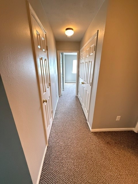 4407 Arbor Lane Property Photo 6