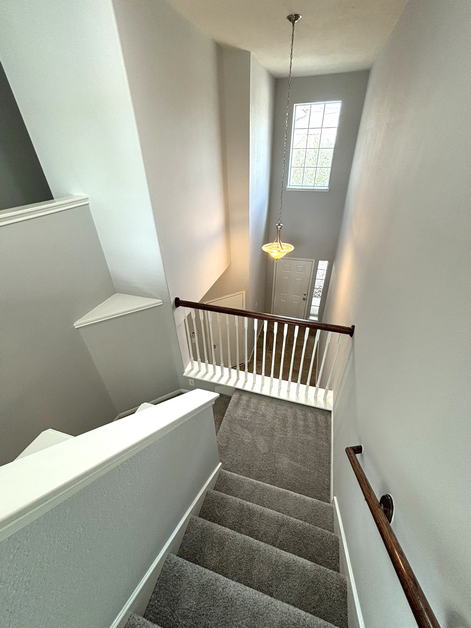 8415 Sunset Loch Drive Property Photo 20