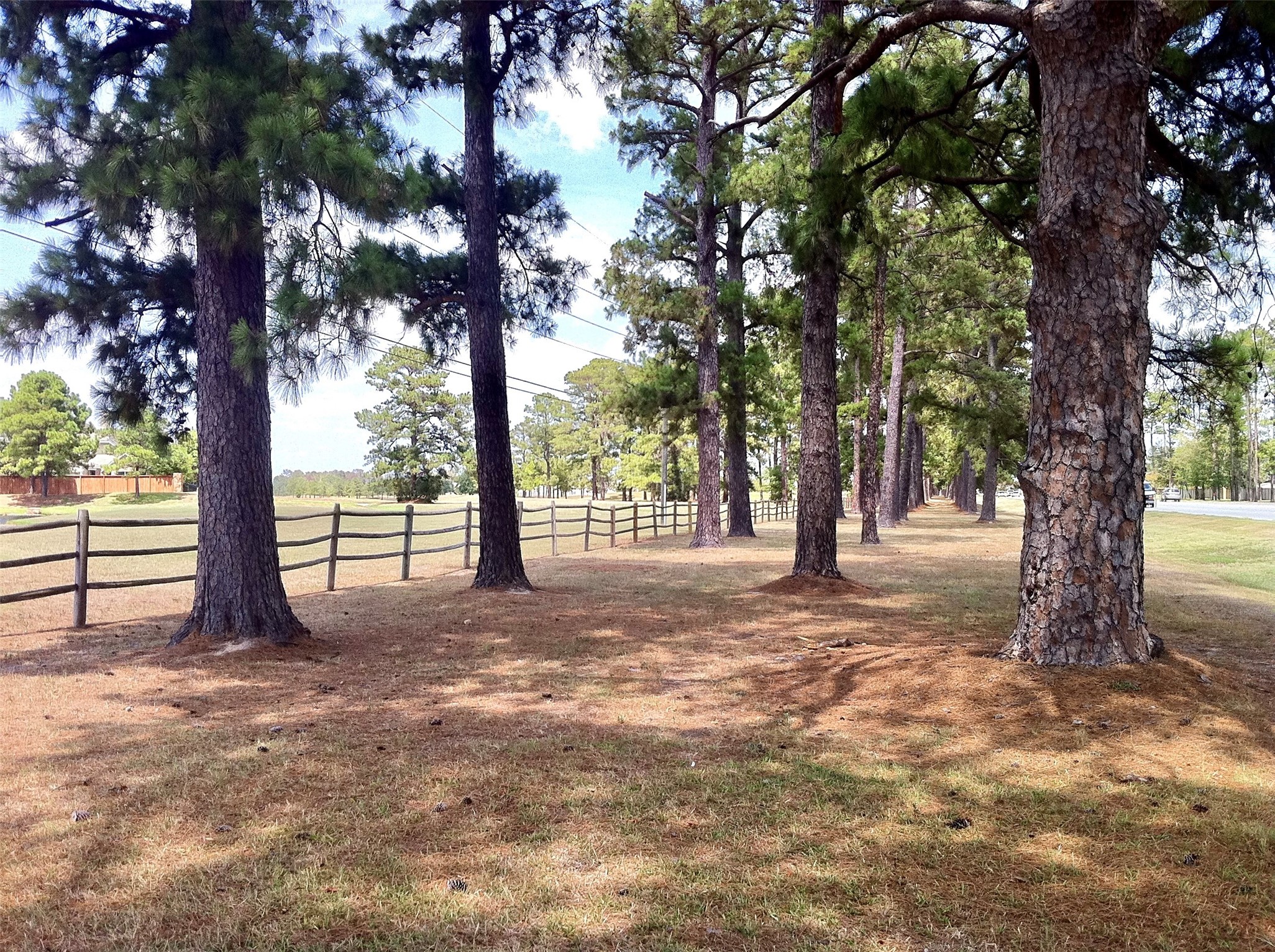 8415 Sunset Loch Drive Property Photo 21