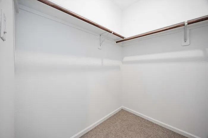 4507 White Rock Street B Property Photo 23