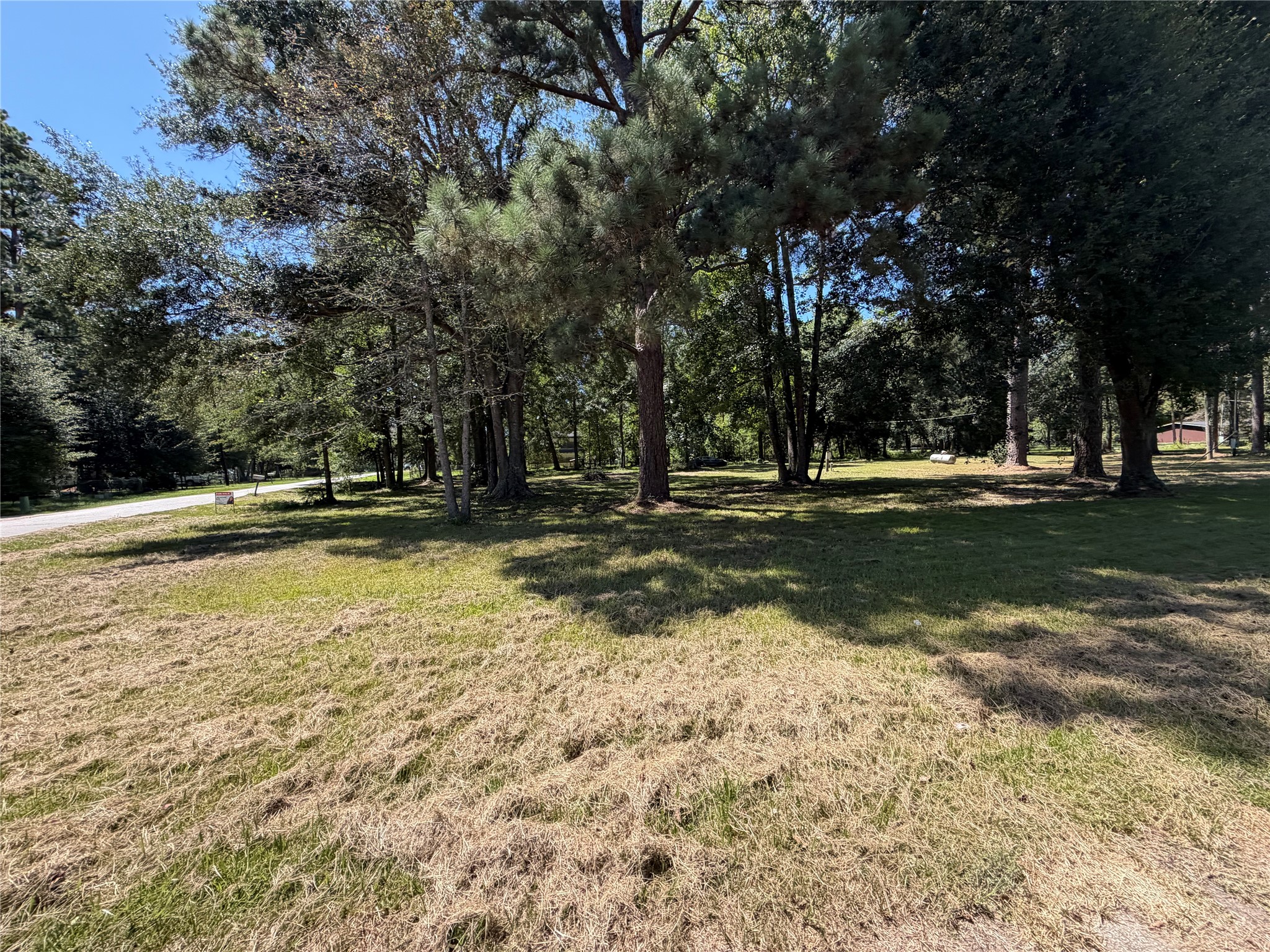 180 Pine Burr Court Property Photo 3