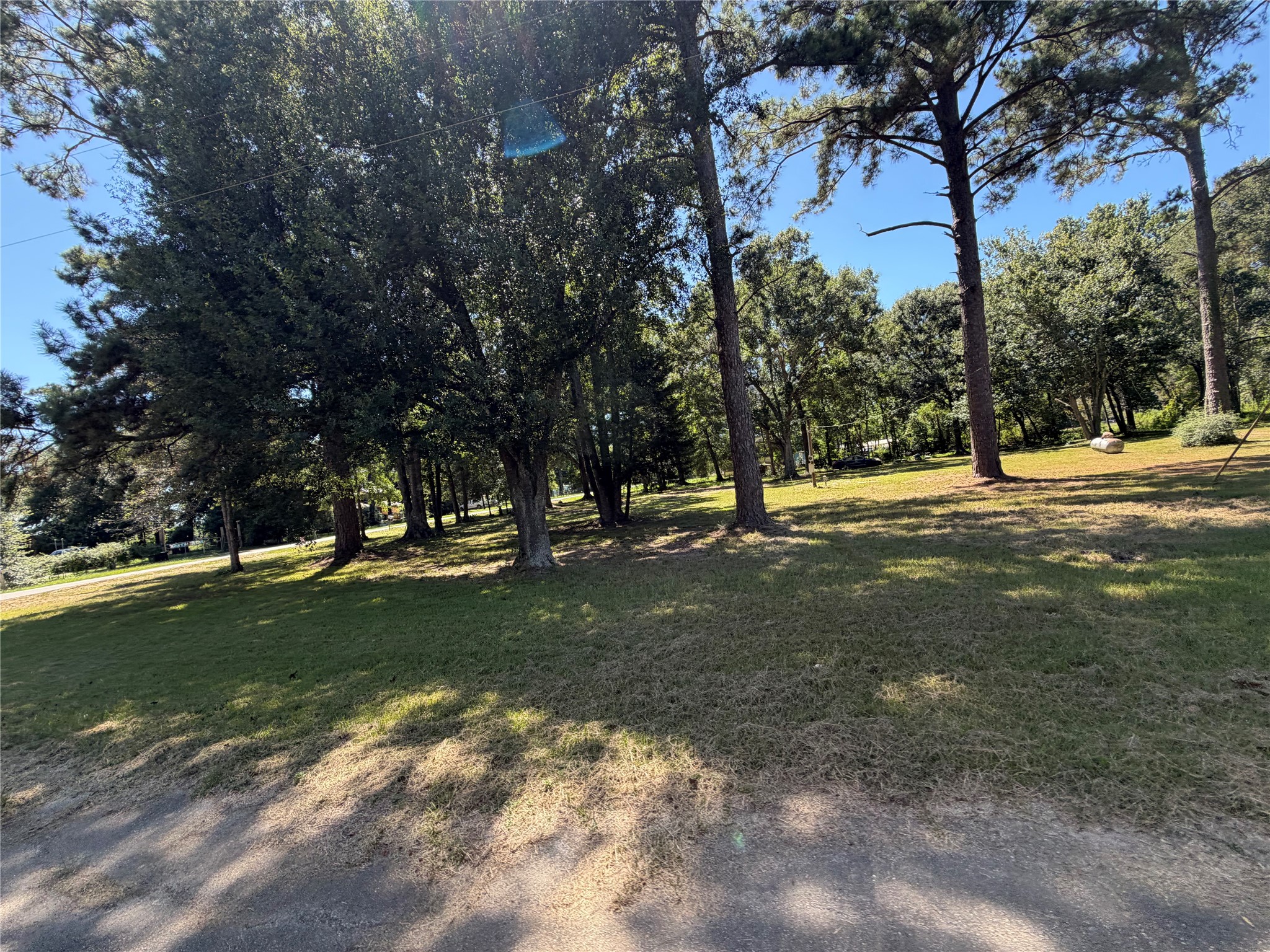 180 Pine Burr Court Property Photo 4