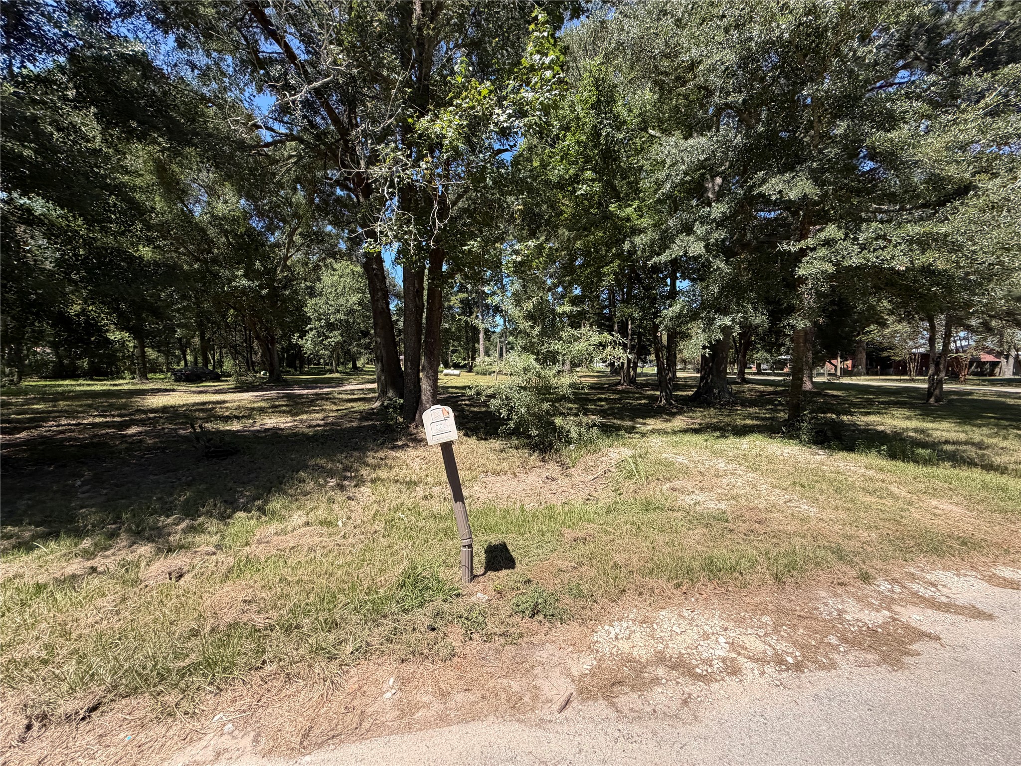 180 Pine Burr Court Property Photo 7
