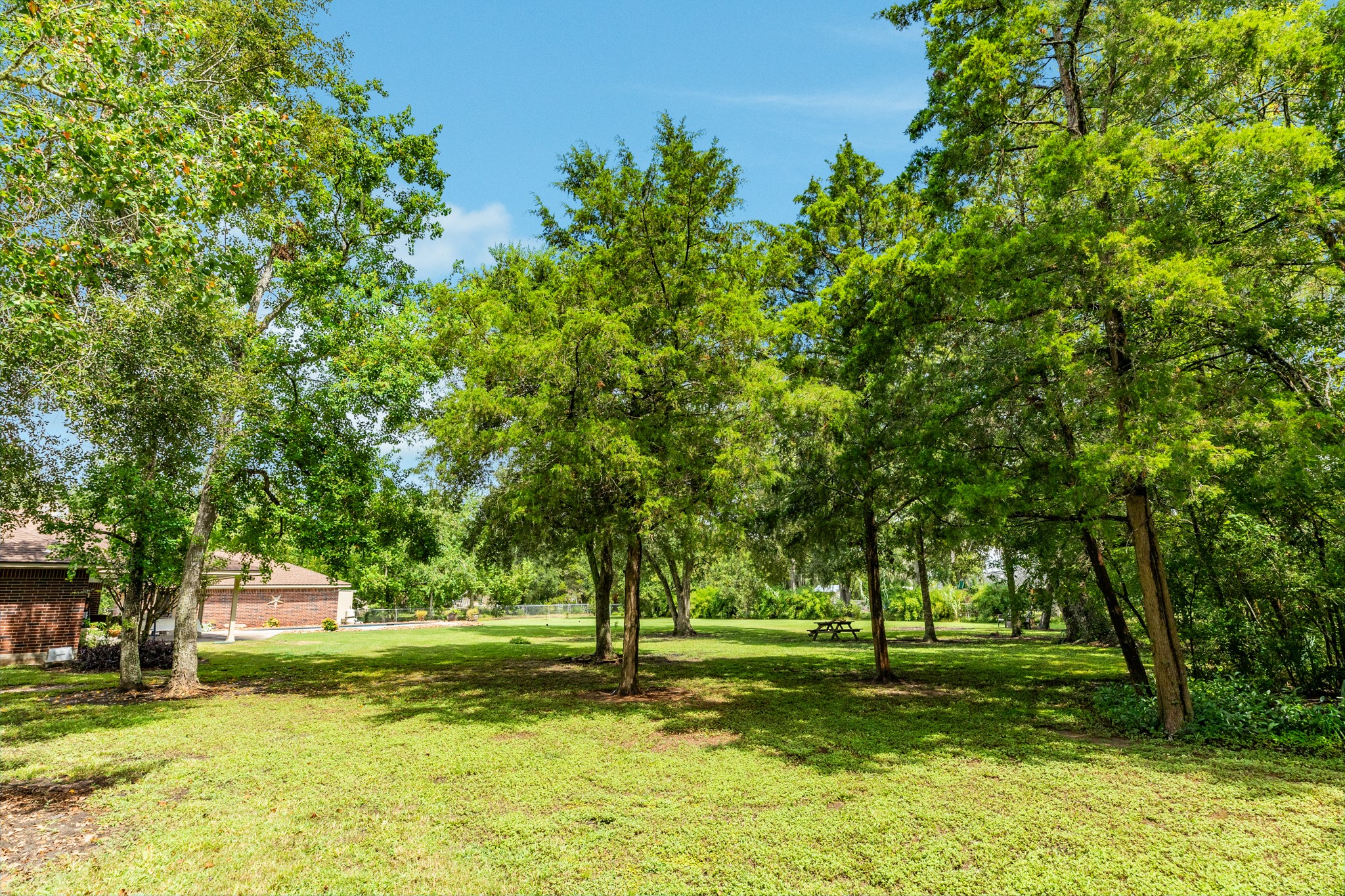 362 County Road 502a Property Photo 31