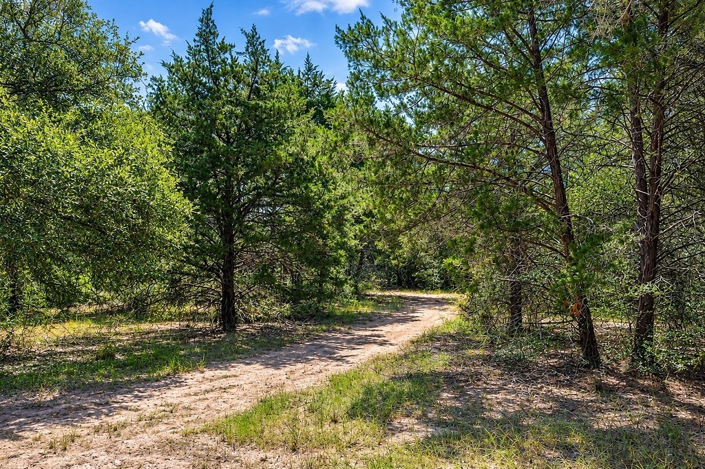 1125 County Road 136 Property Photo 15