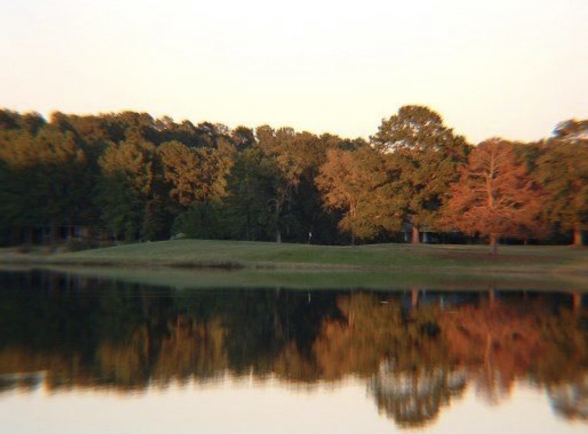 90 Meadowview Drive Property Photo 19