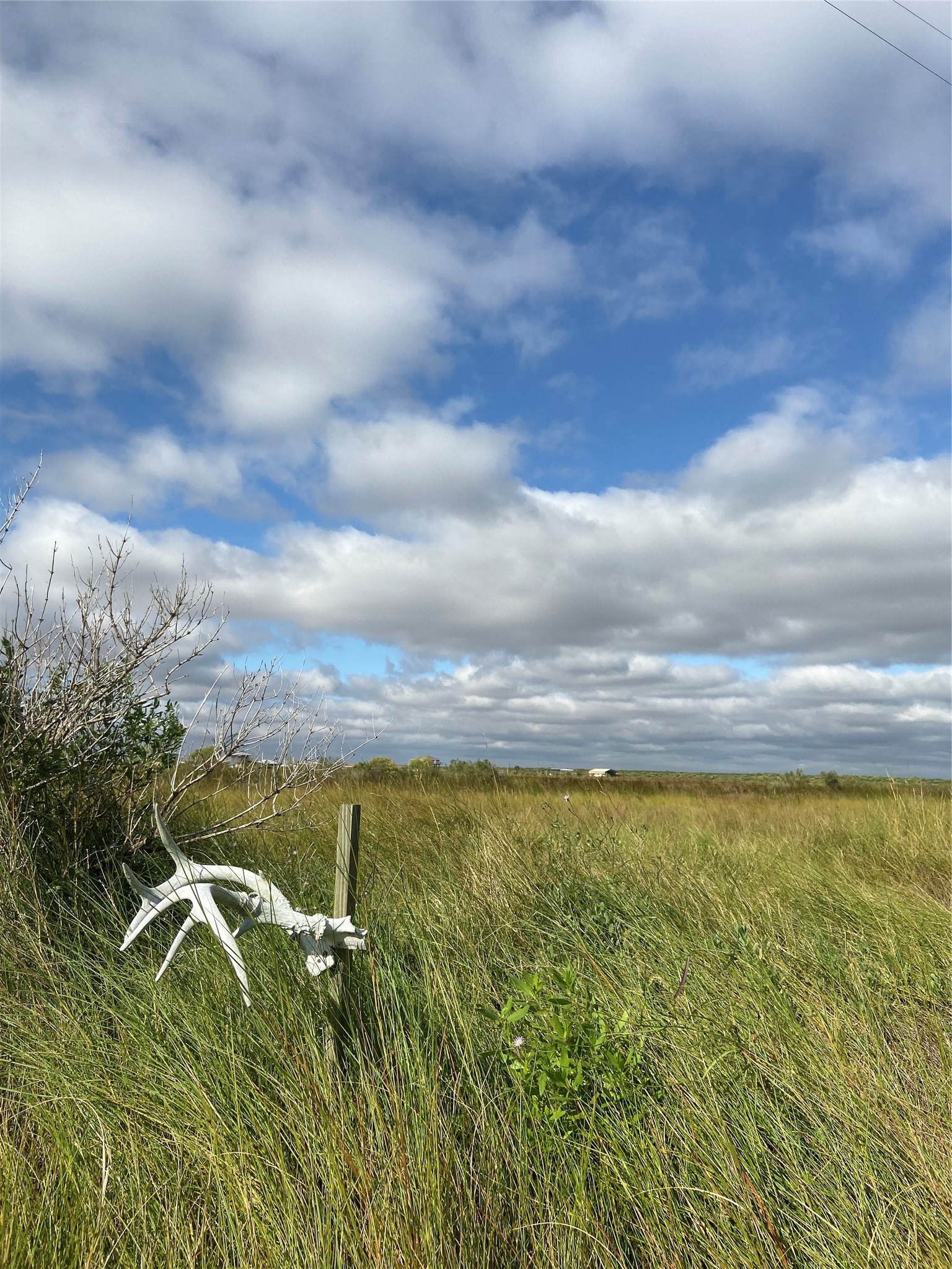 1405 4th Street Property Photo 1