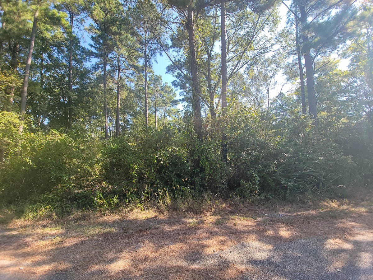 30 Jeffery Drive Property Photo 1