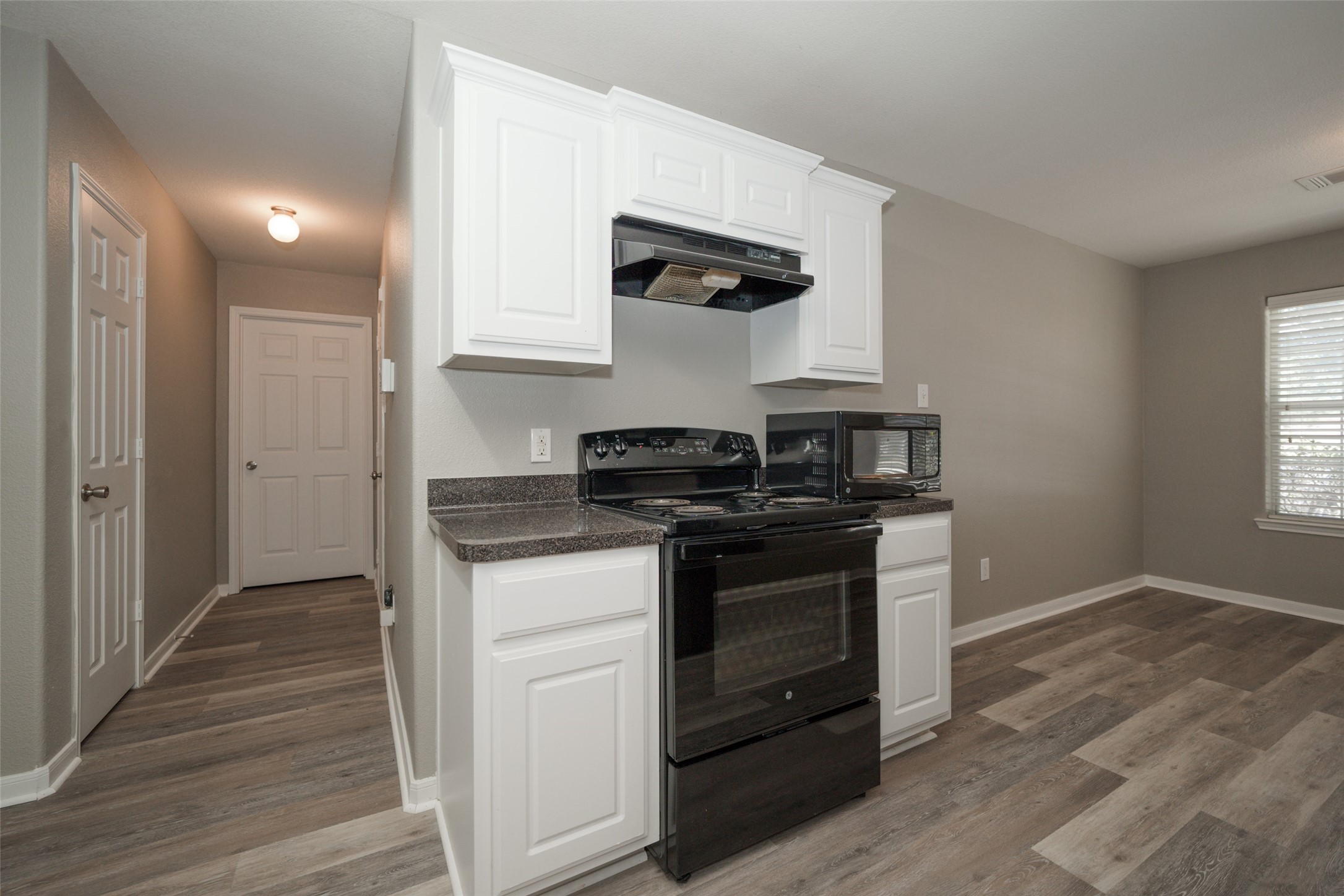 28894 Llano River Loop Property Photo 8