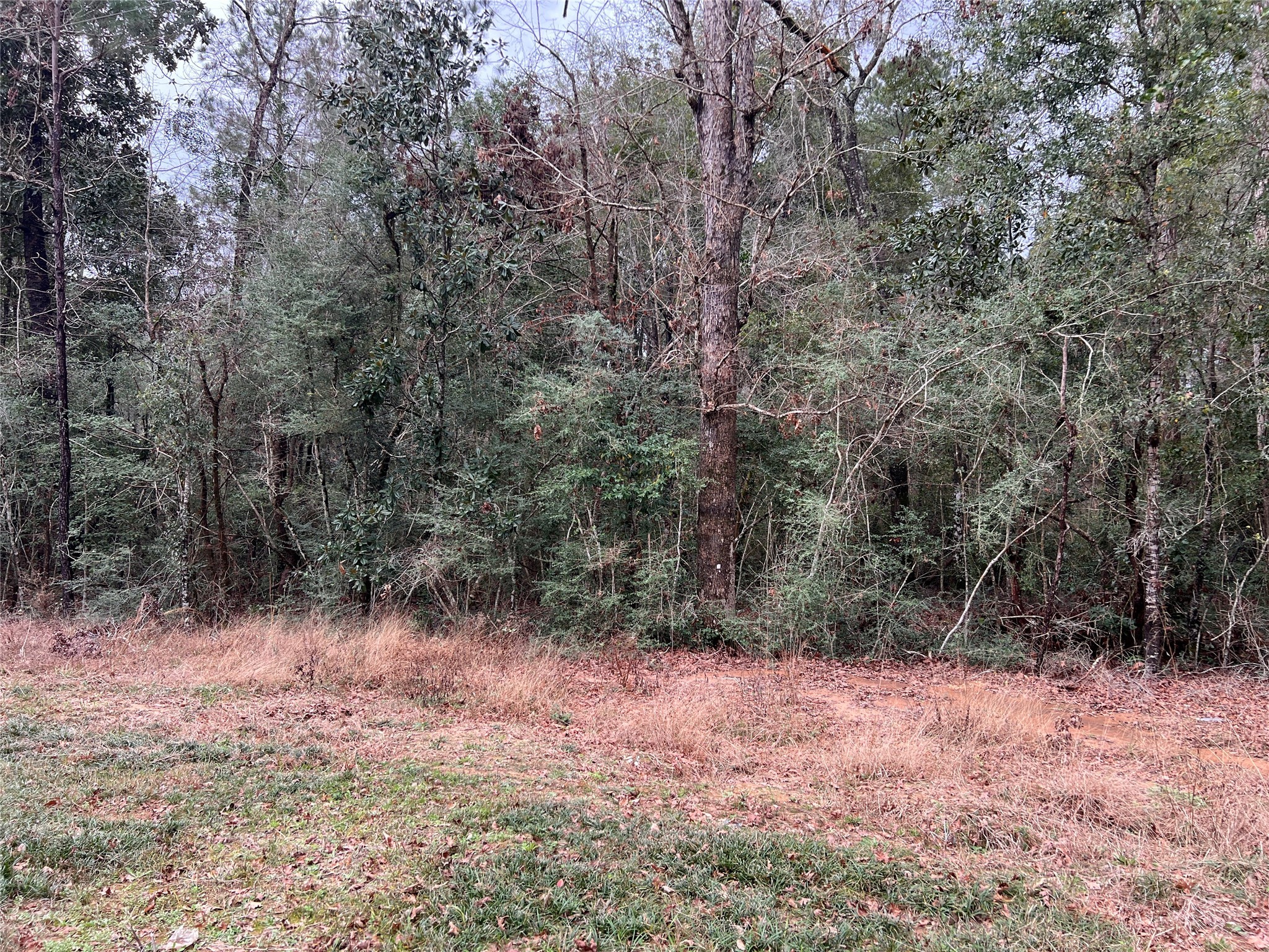 Tbd Road 2723 Property Photo