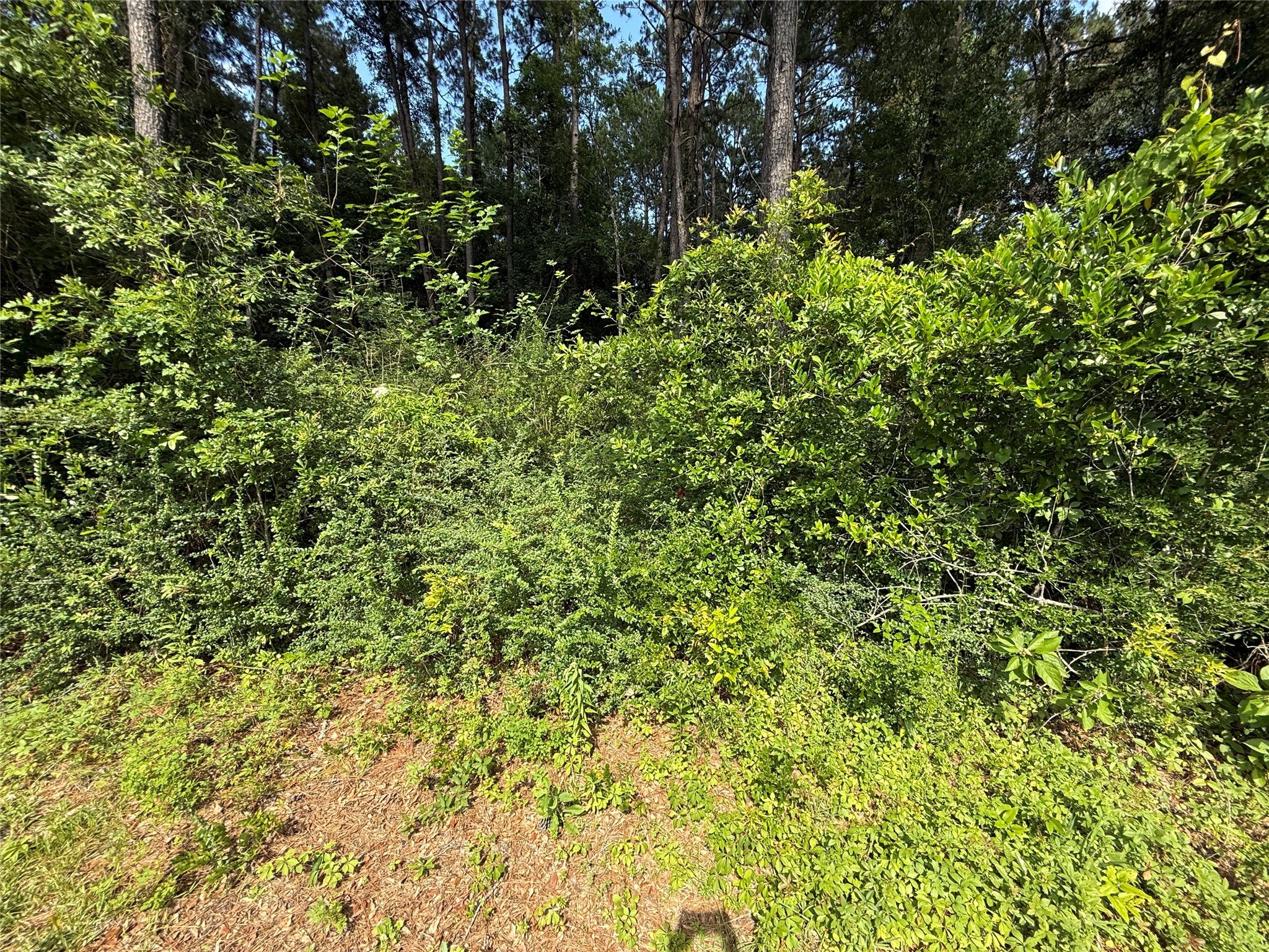 000 Kelly Drive Property Photo 3