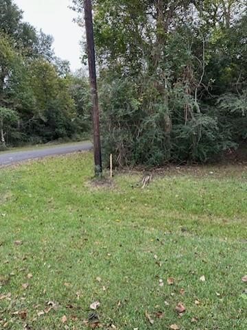 0 Reeves Cemetery Road Property Photo 1