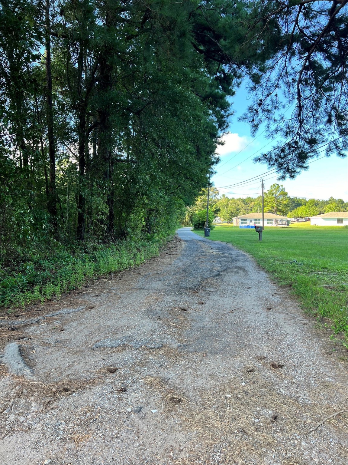 202 Shady Pine Street Property Photo