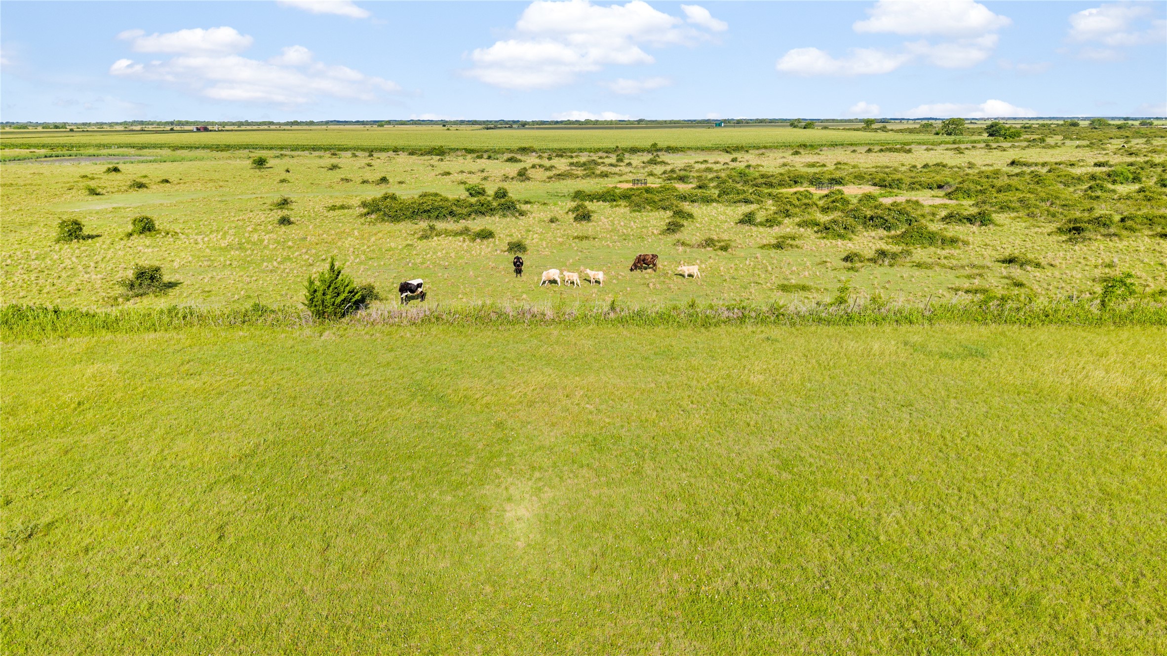 00 Cr 311 Property Photo 5