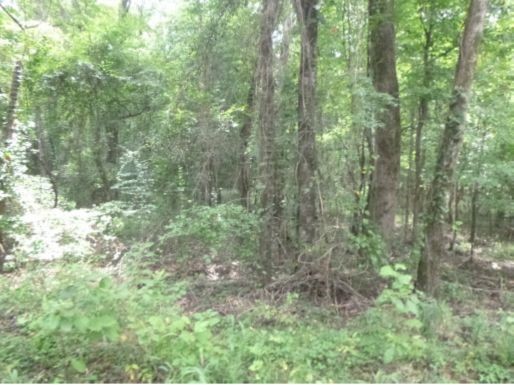 Abst 214 County Road 3222 Property Photo 9