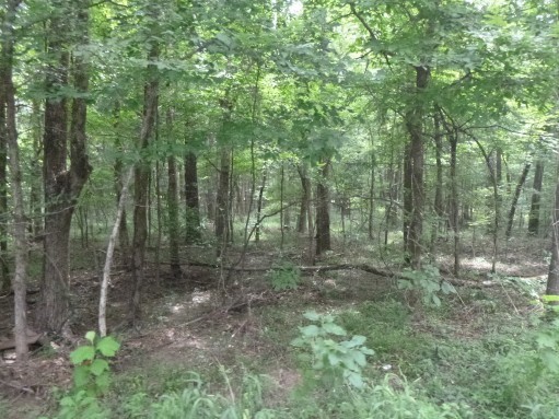 Abst 214 County Road 3222 Property Photo 10
