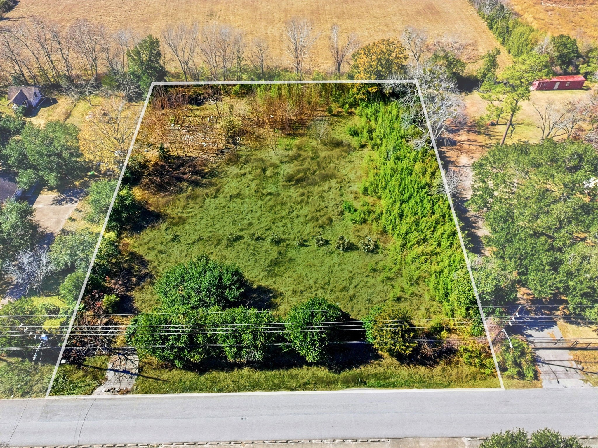 11902 Dover Street Property Photo 4