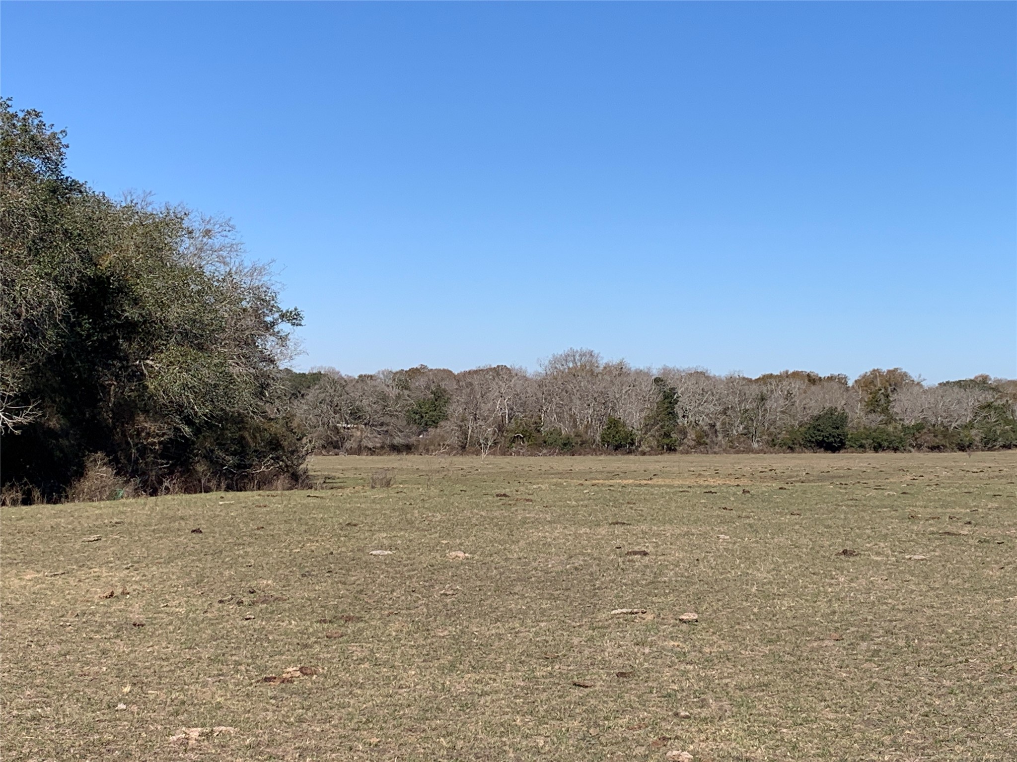Tbd County Road 253 Property Photo