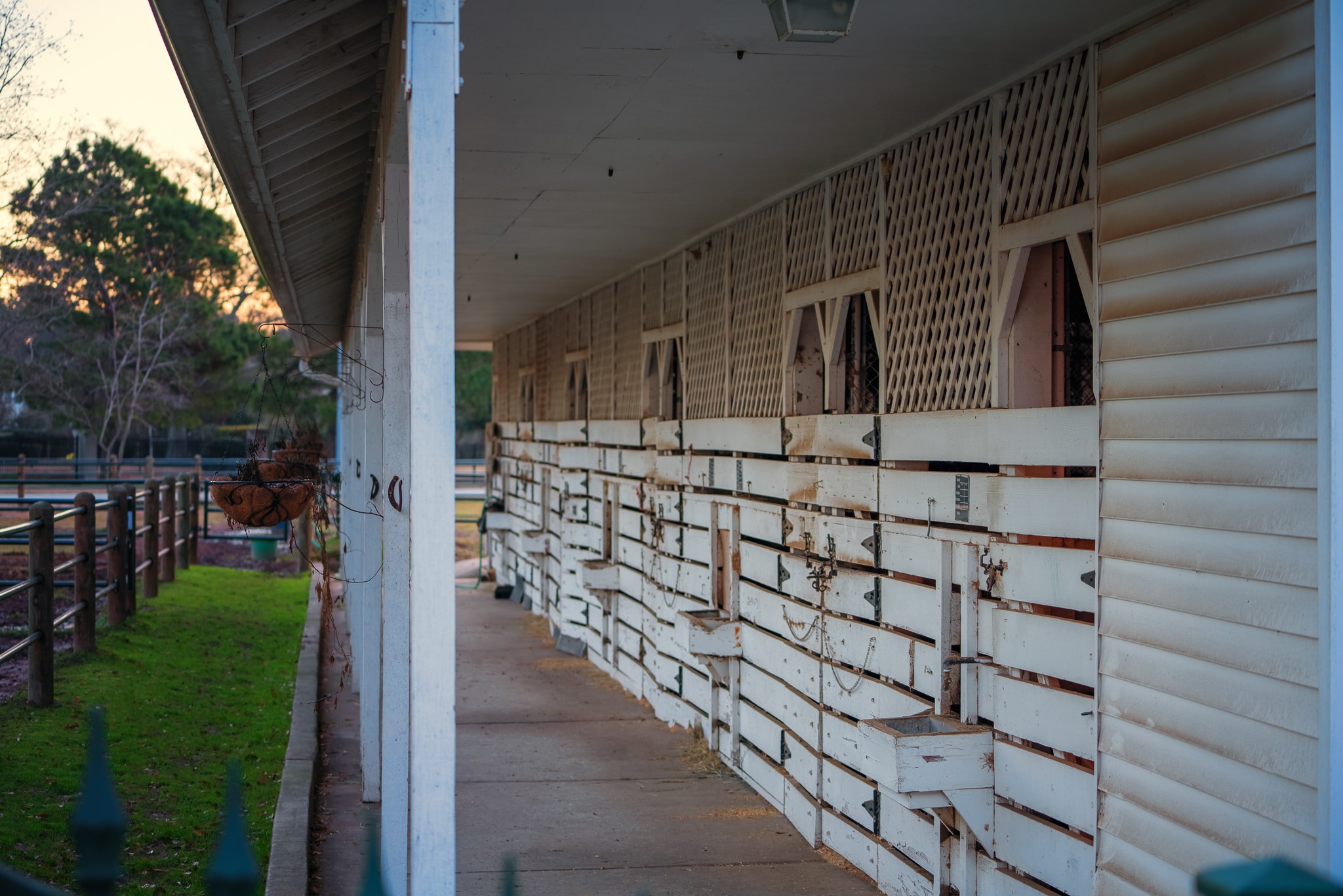 1207 Walston Ridge Drive Property Photo 40