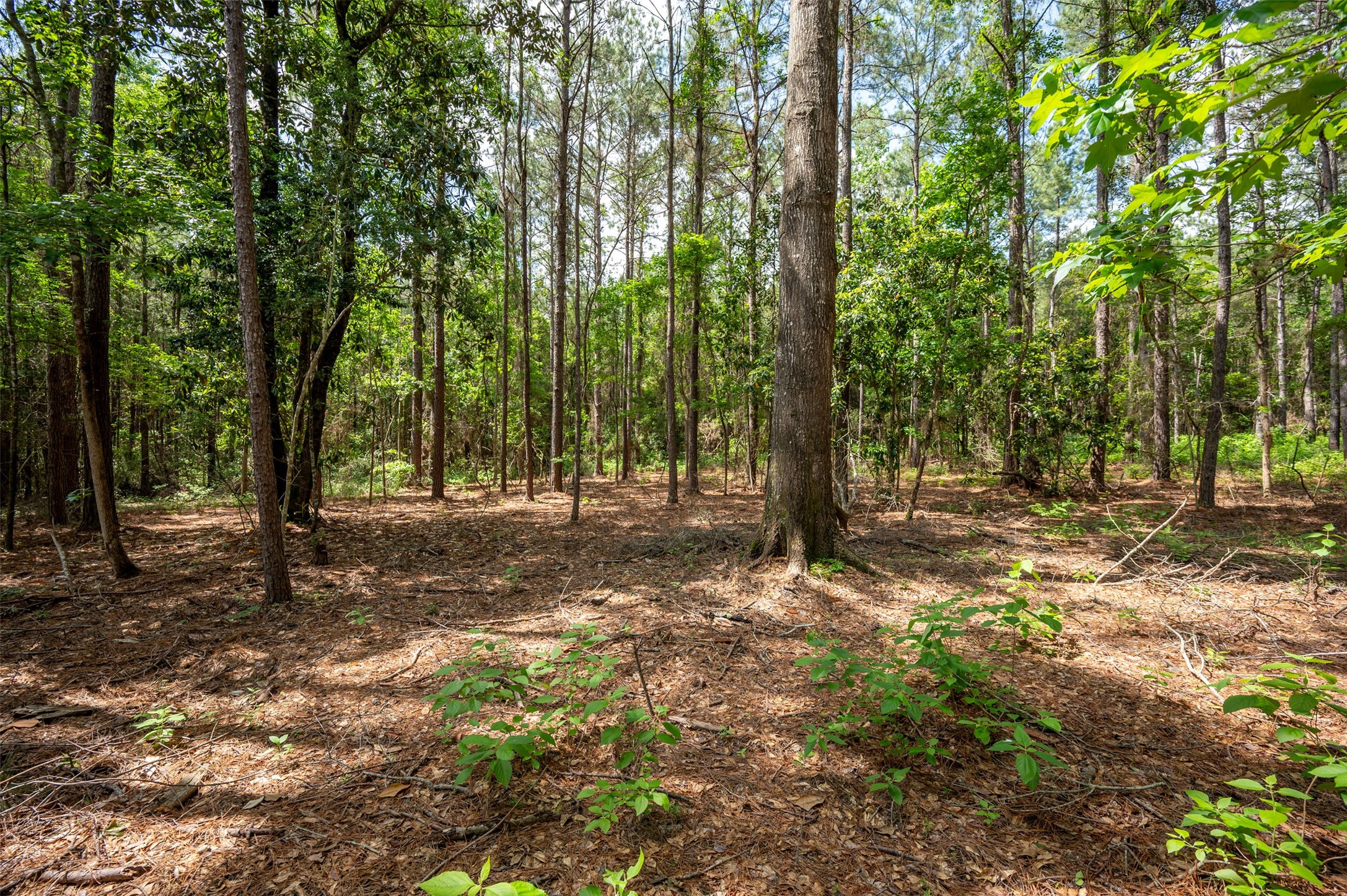 Tbd Tile Plant Road Property Photo 7