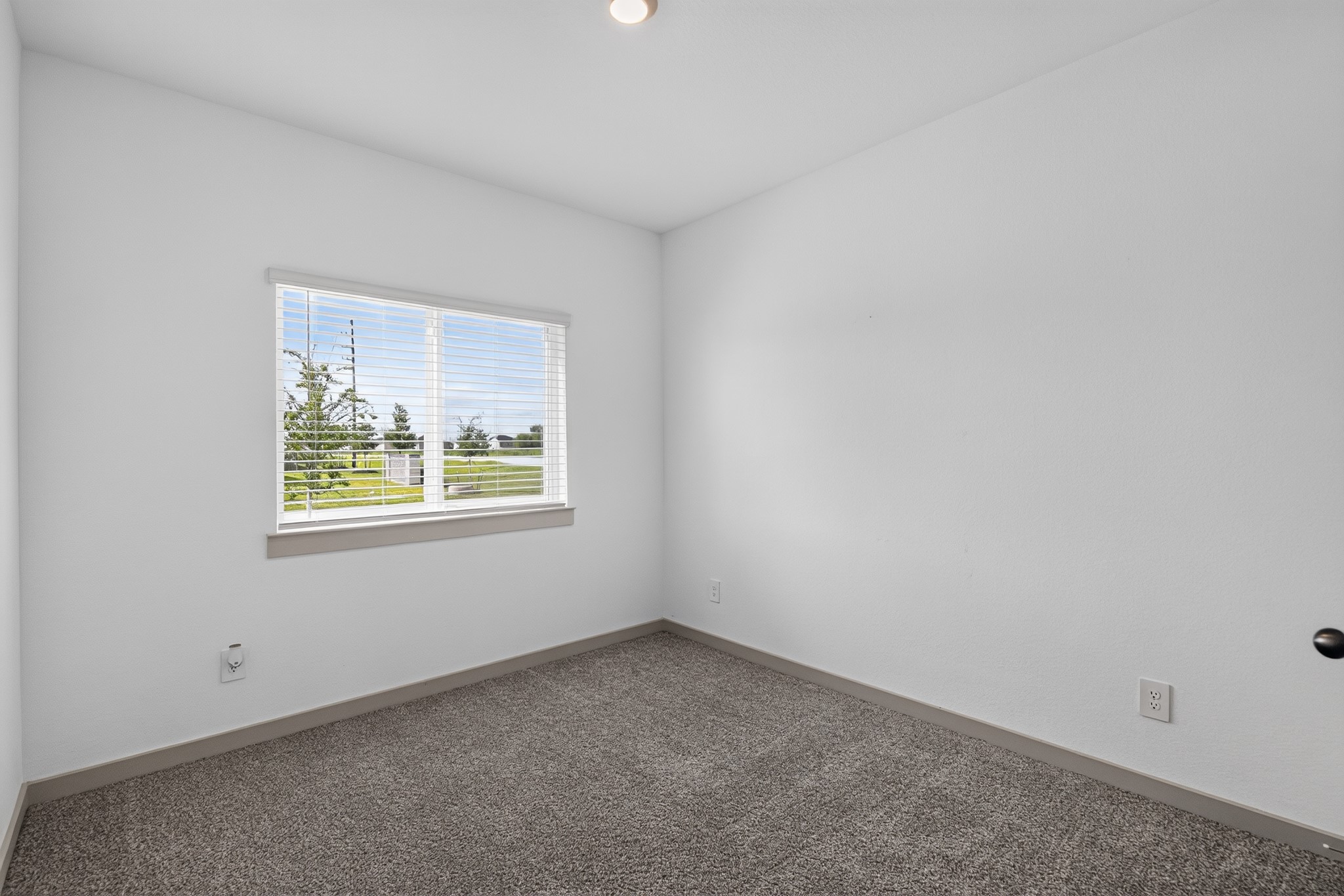 14407 Sweet Water Drive Property Photo 7