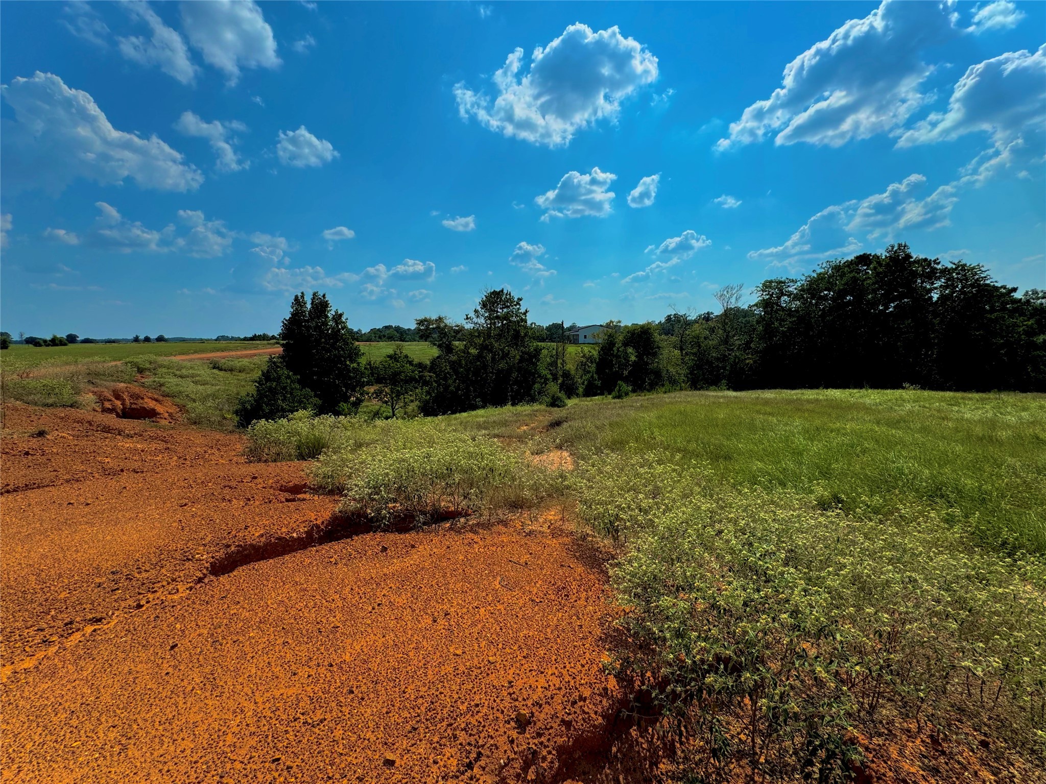 4867 Hunters Creek Property Photo 3