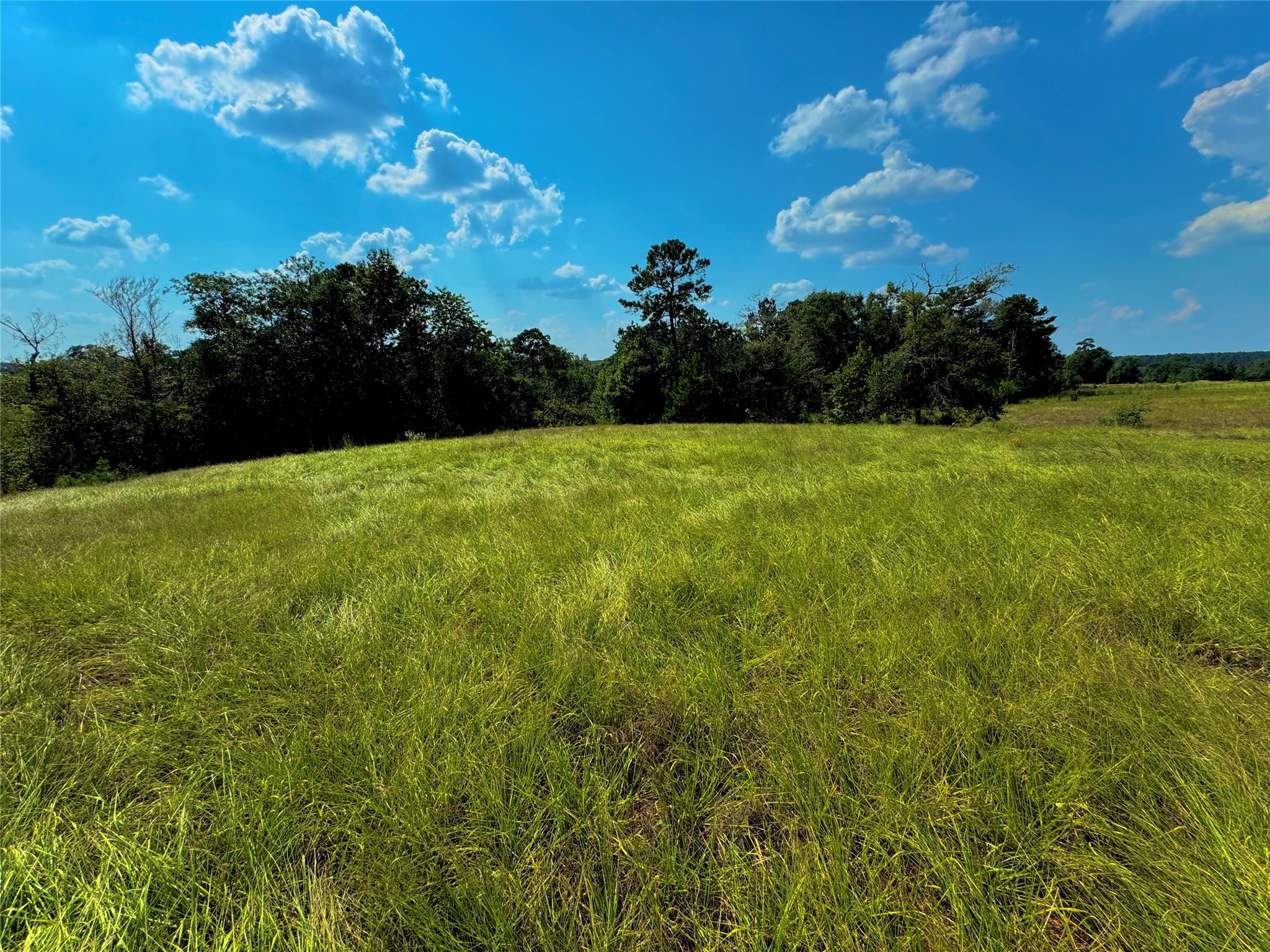 4867 Hunters Creek Property Photo 7