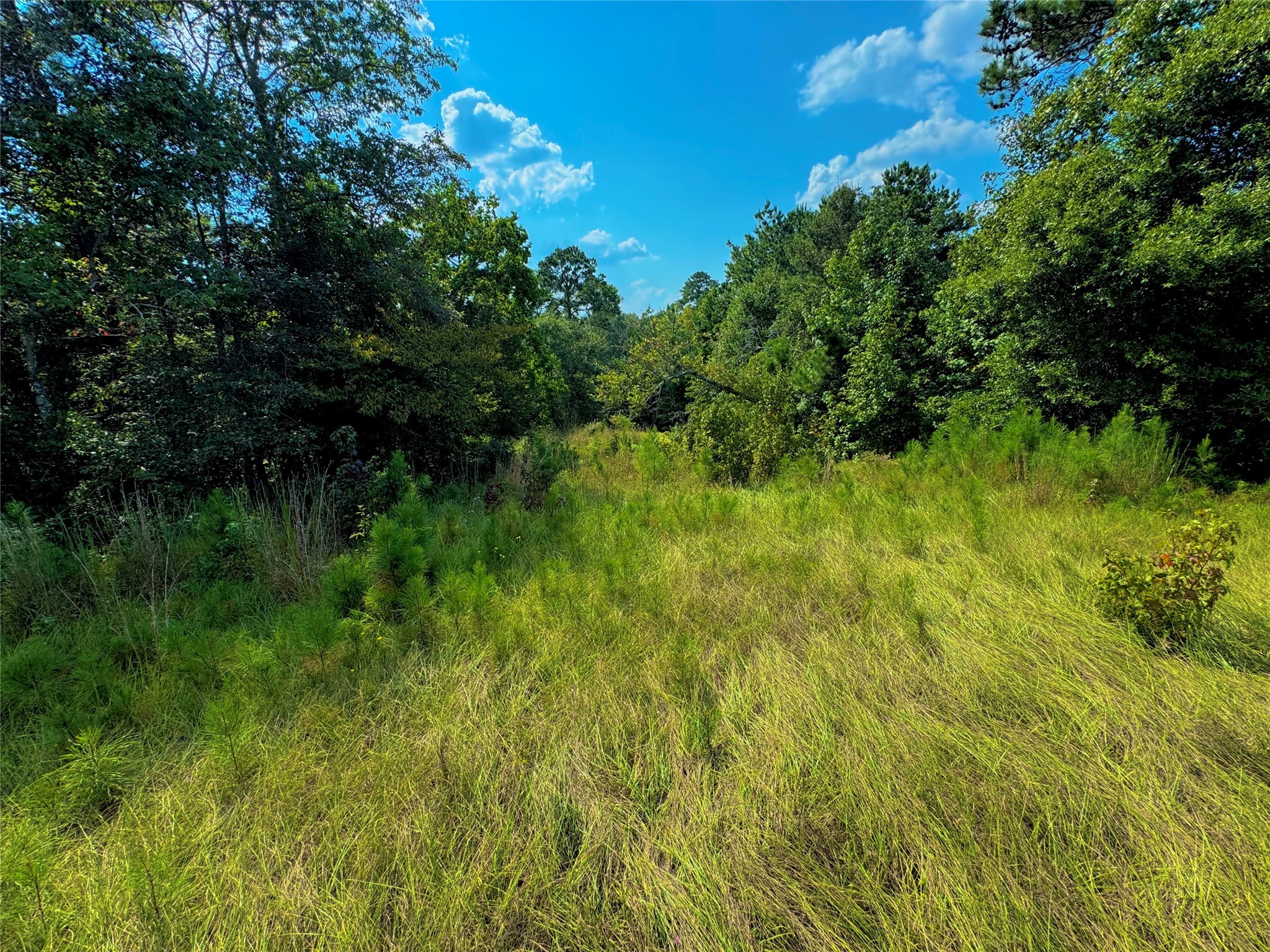 4867 Hunters Creek Property Photo 8