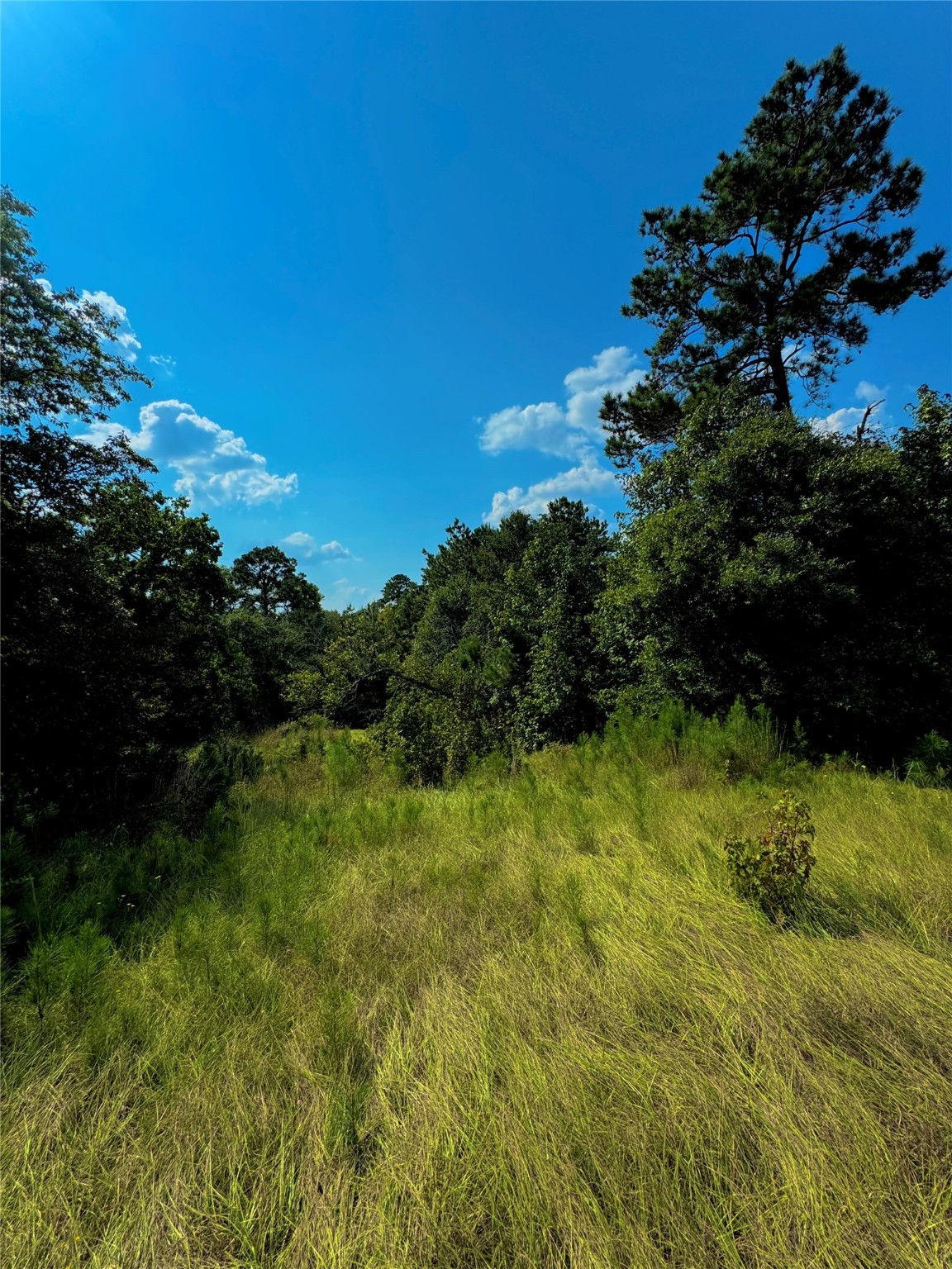 4867 Hunters Creek Property Photo 9