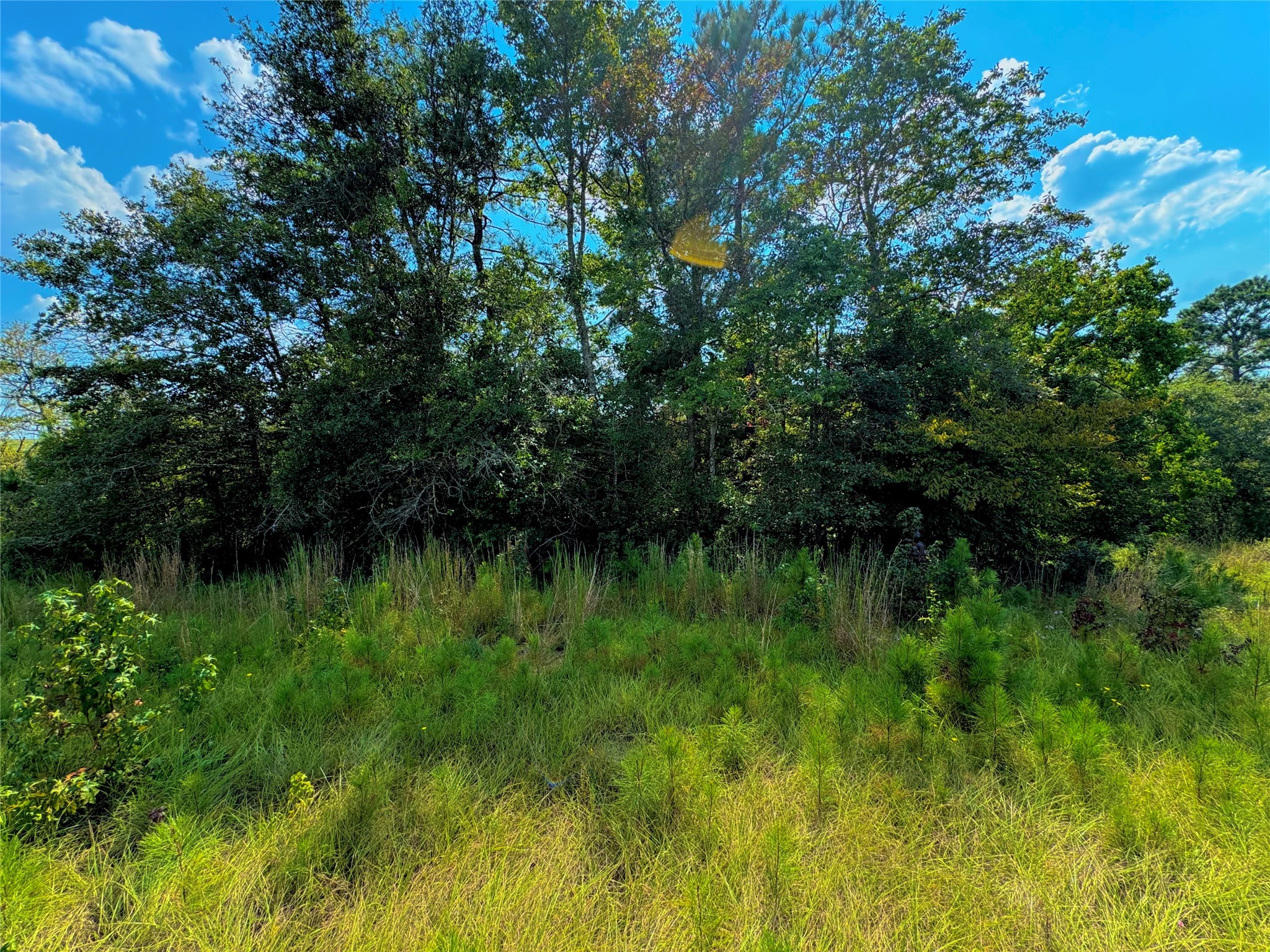 4867 Hunters Creek Property Photo 10