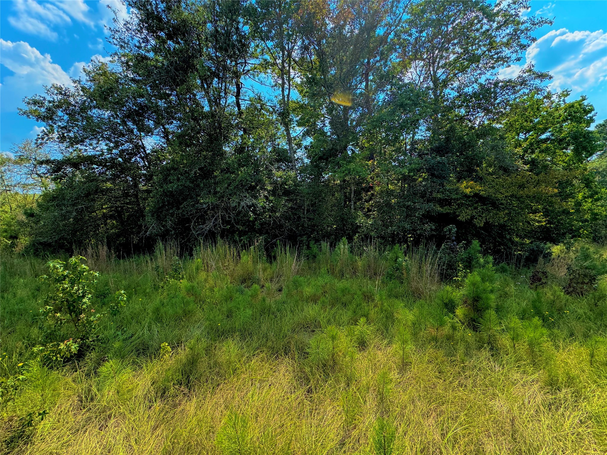 4867 Hunters Creek Property Photo 11