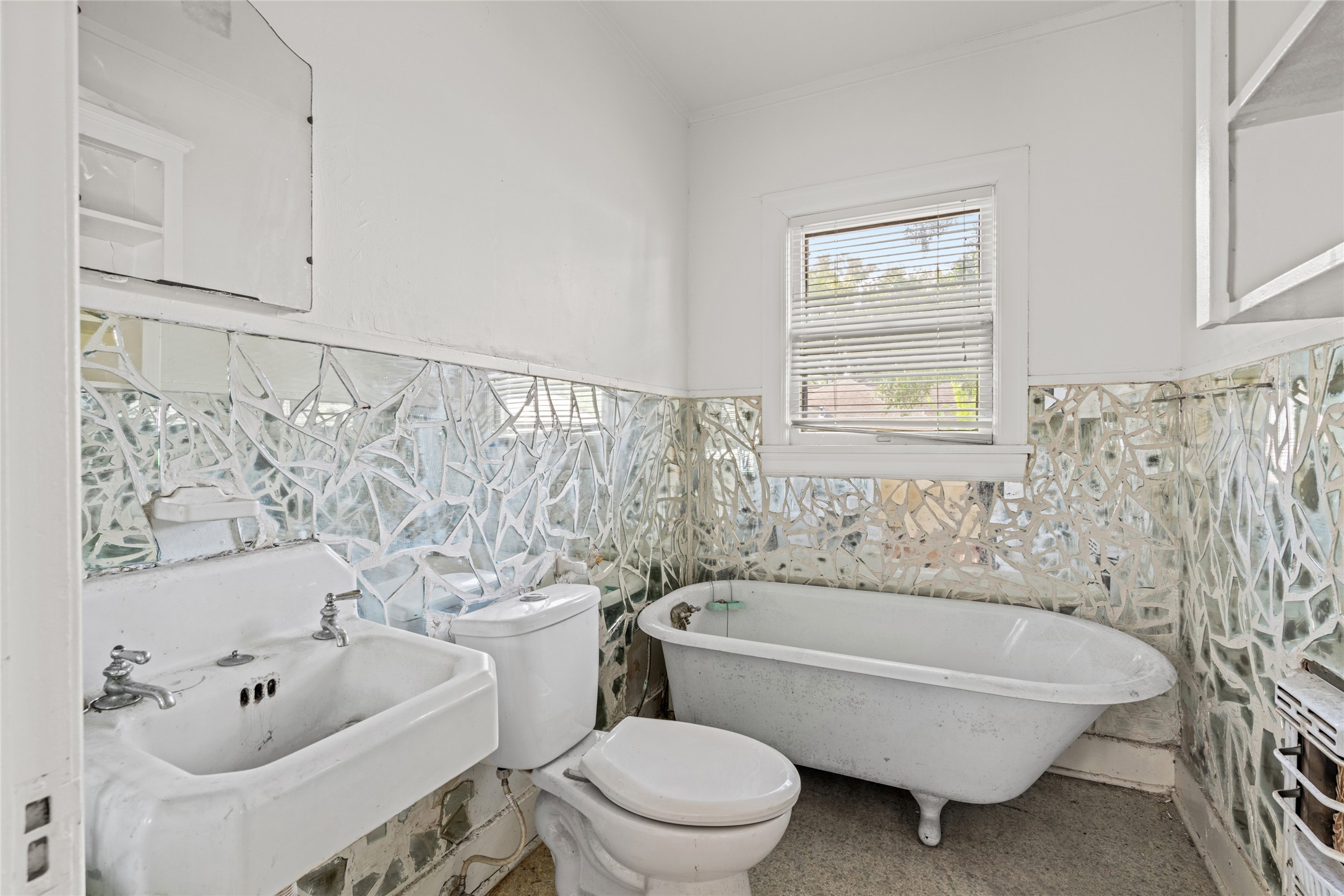 118 Alma Street Property Photo 29