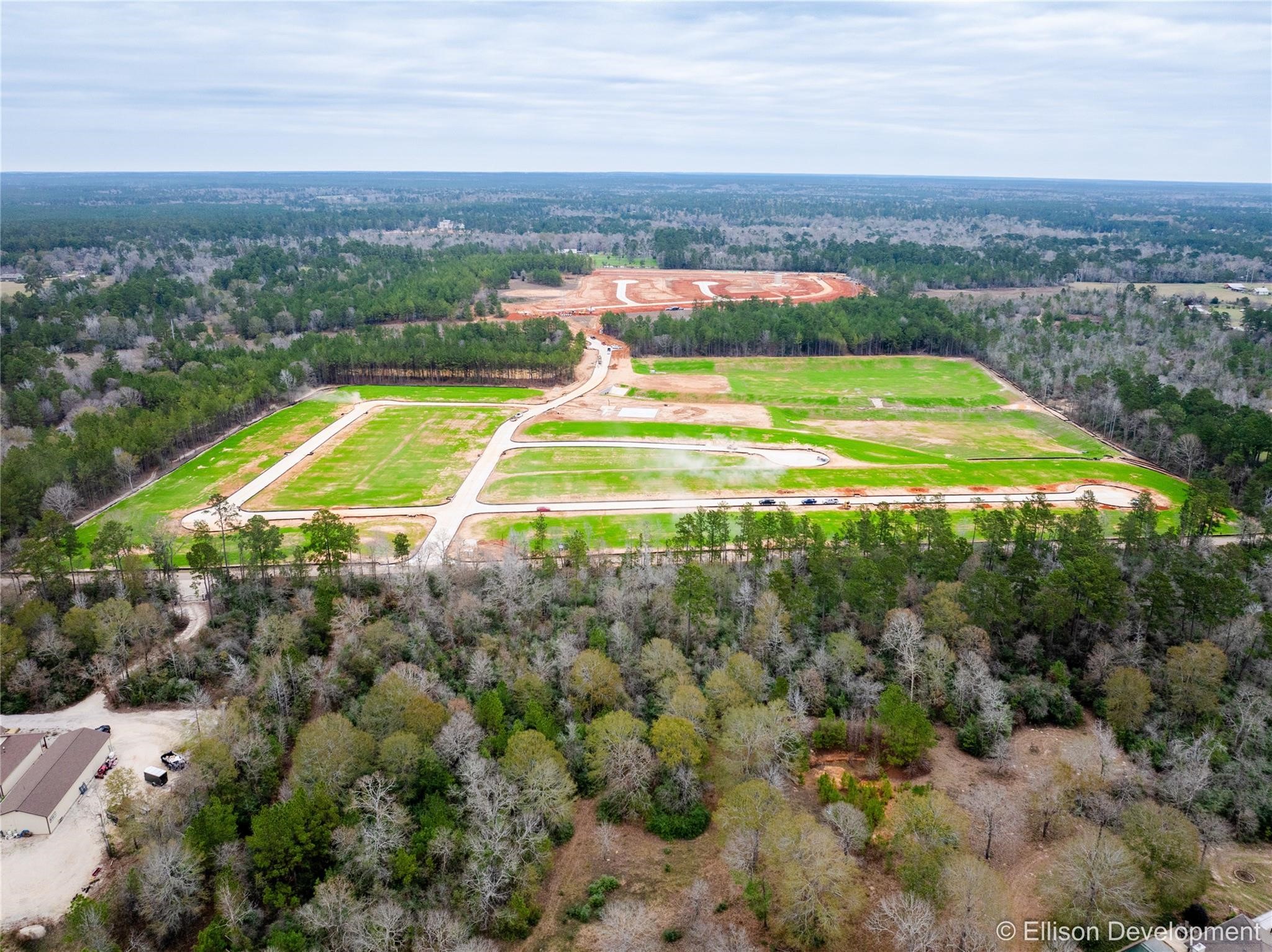12235 Mccrorey Castles Pass Property Photo 26