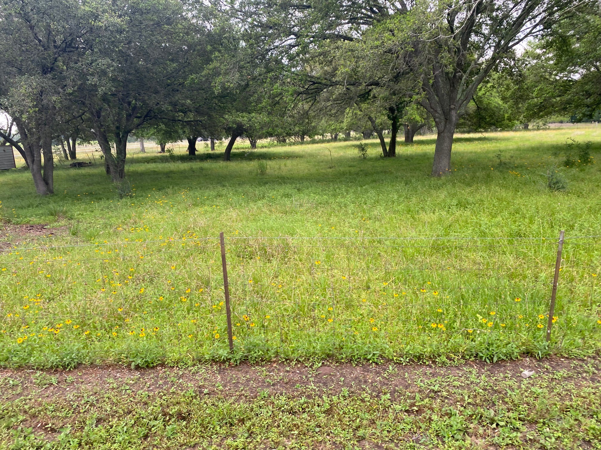 0 I-10 Frontage Evans Property Photo 1