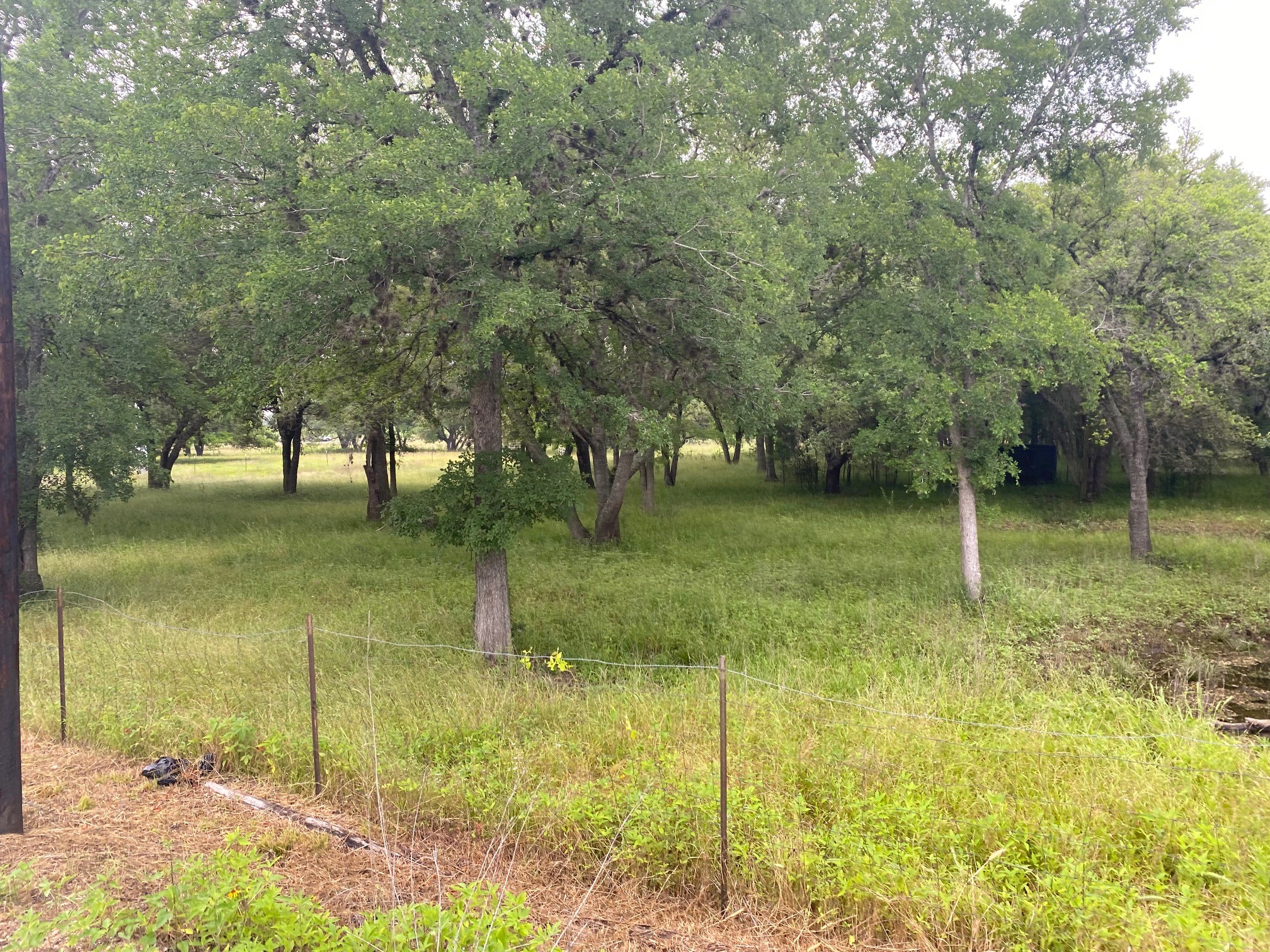 0 I-10 Frontage Evans Property Photo 8