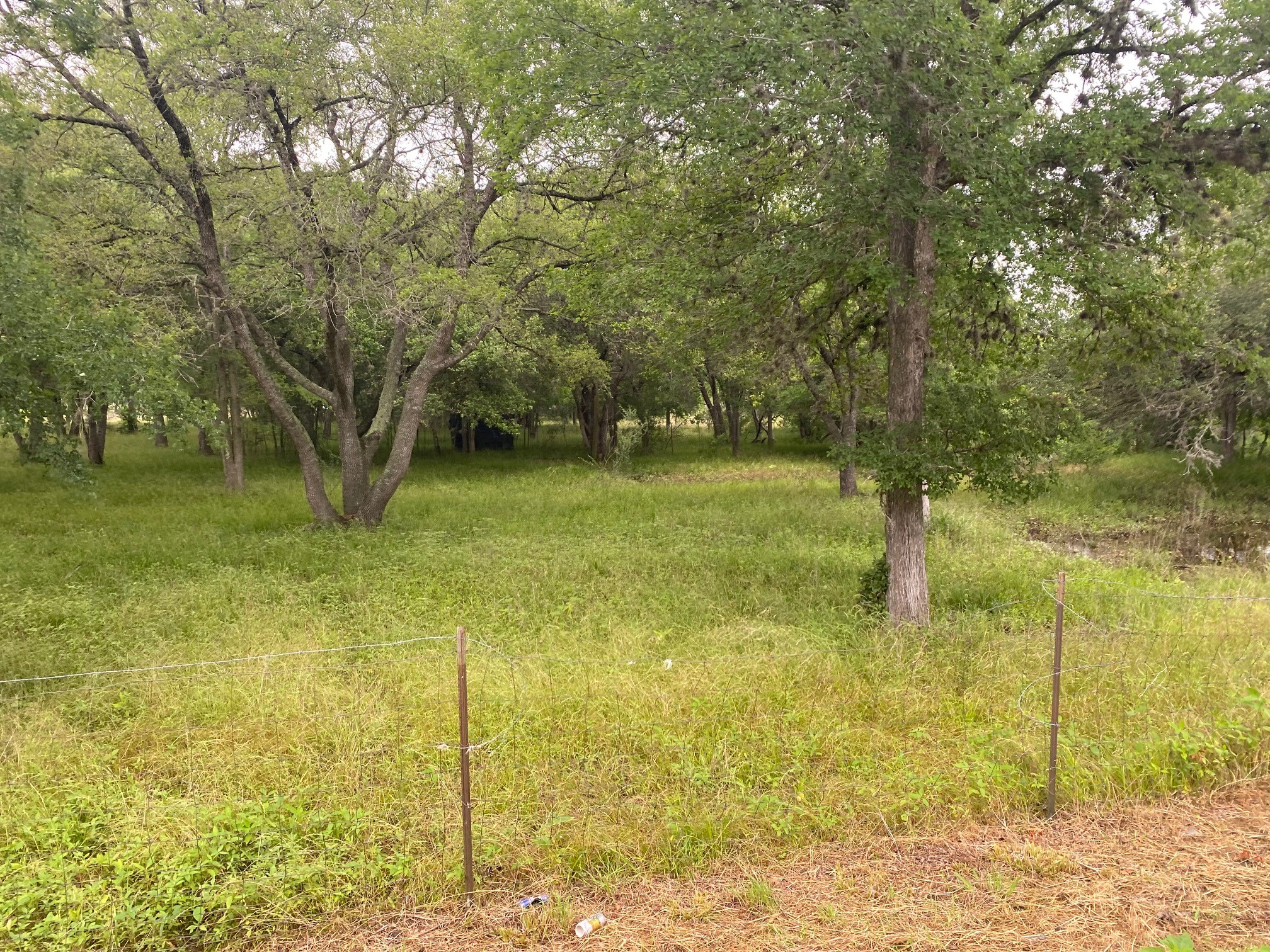 0 I-10 Frontage Evans Property Photo 9