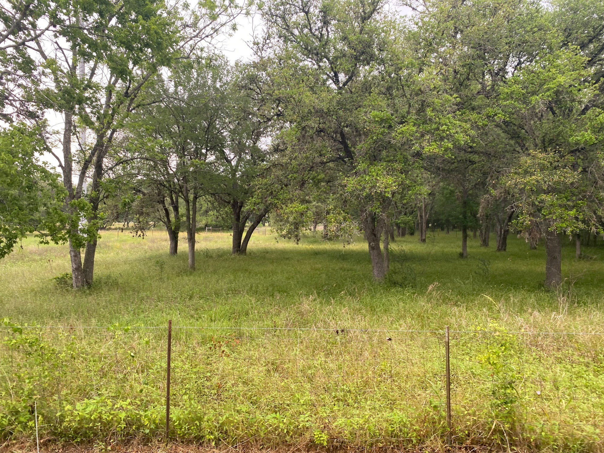0 I-10 Frontage Evans Property Photo 10