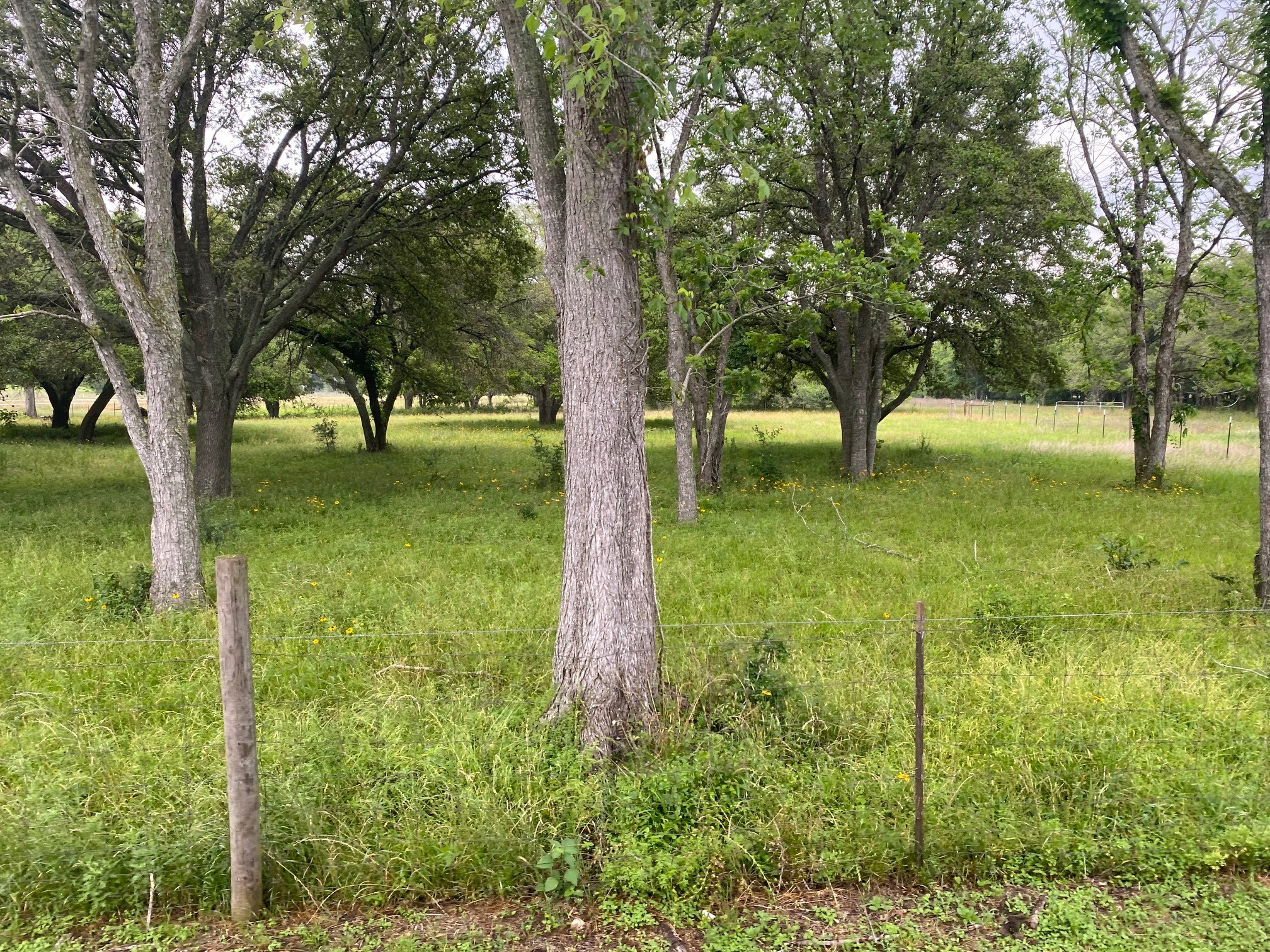 0 I-10 Frontage Evans Property Photo 11