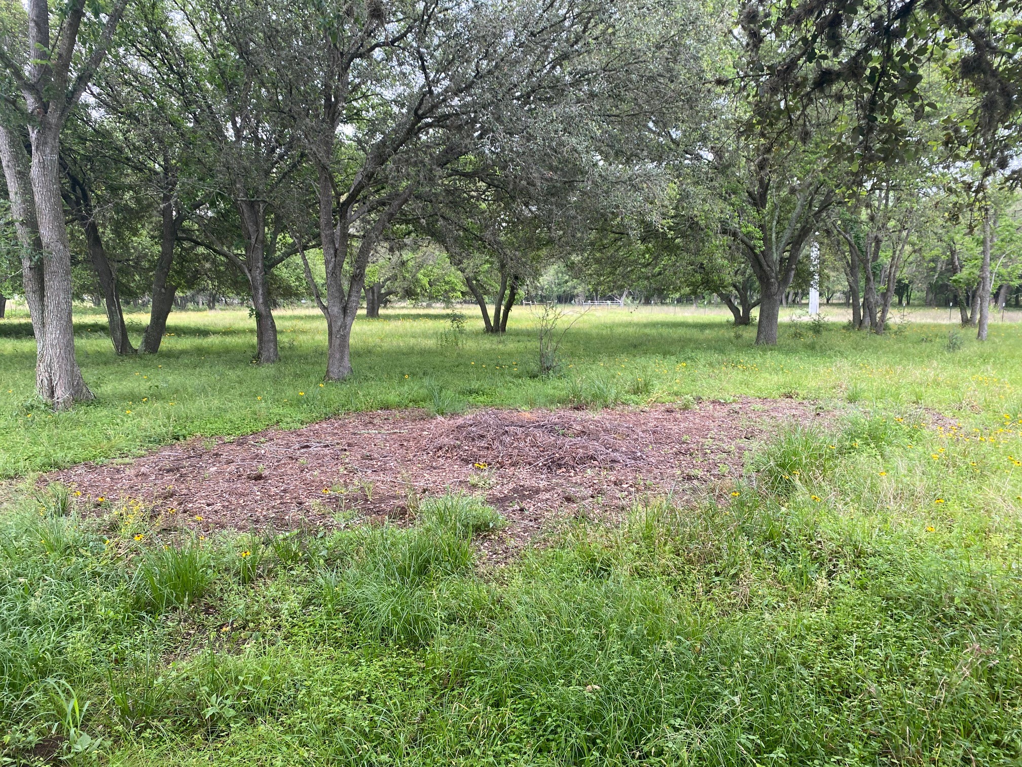 0 I-10 Frontage Evans Property Photo 12