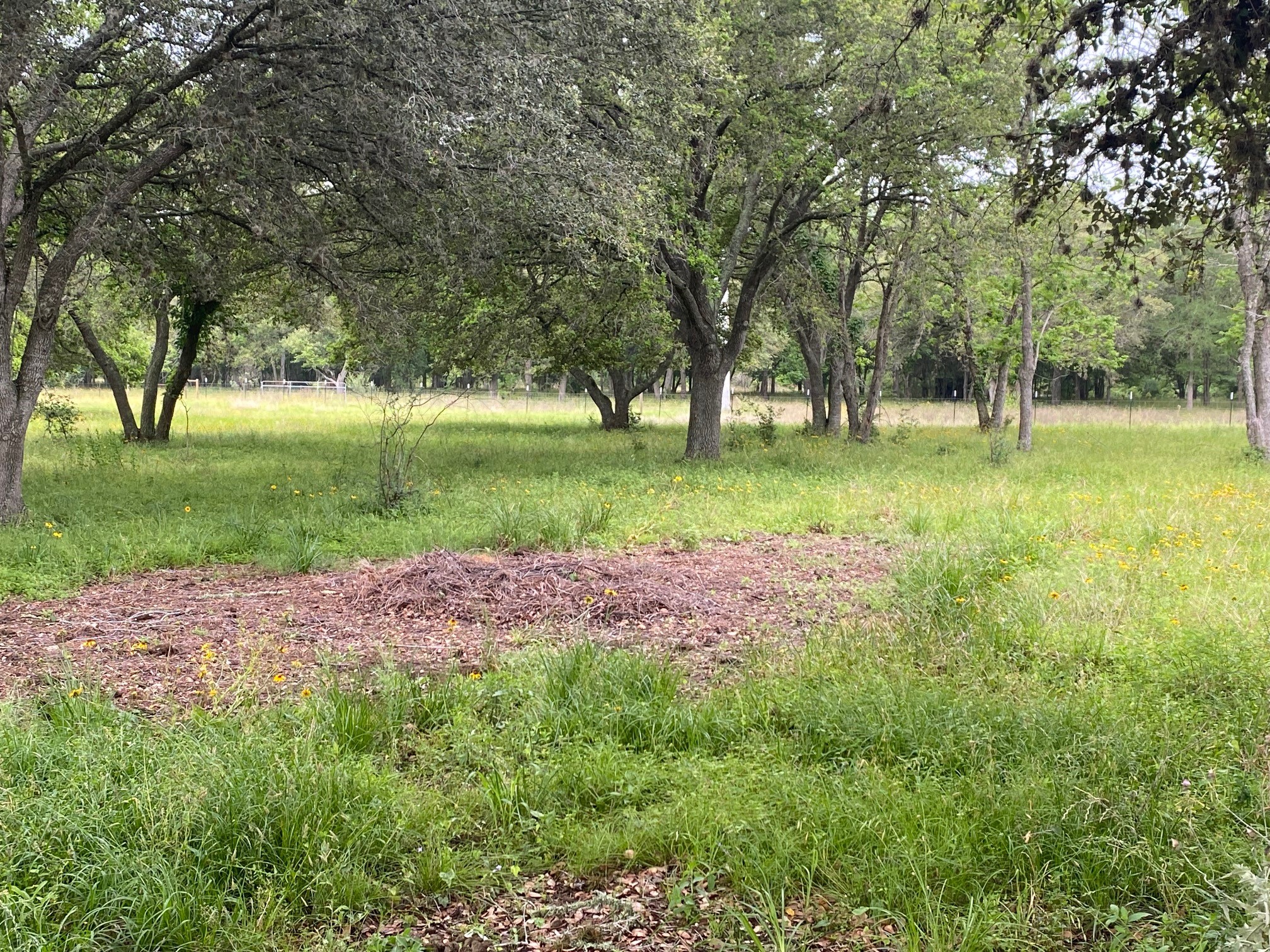 0 I-10 Frontage Evans Property Photo 15