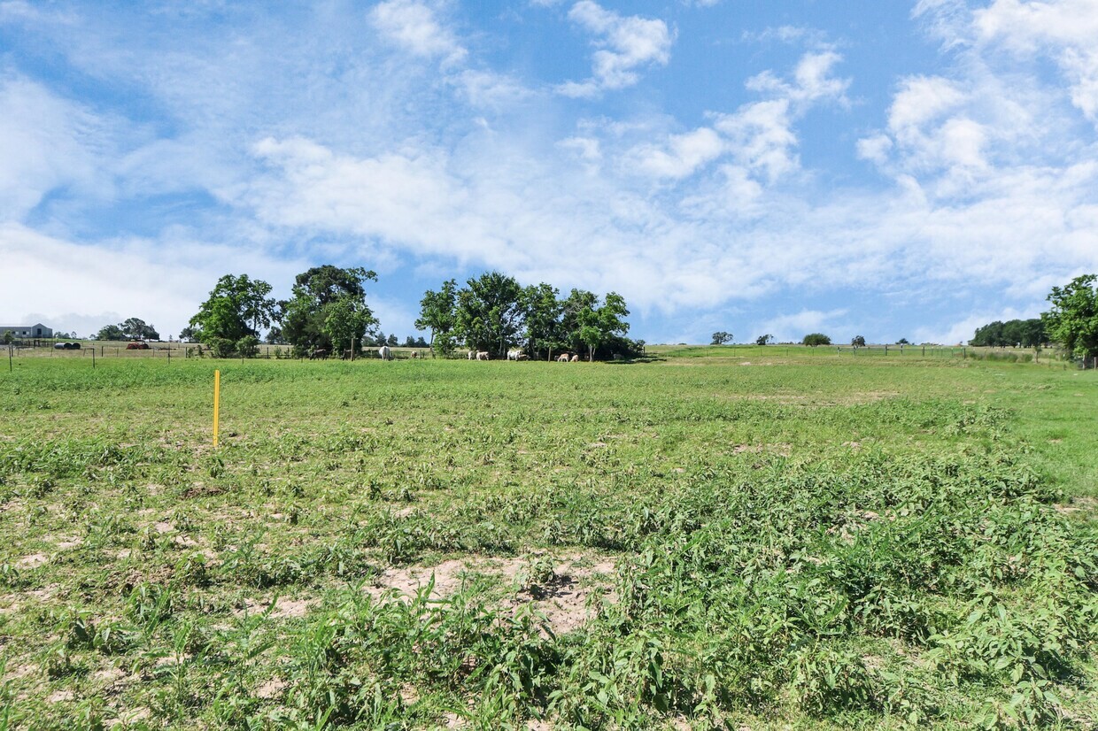 17725 Cochran Road Property Photo 5