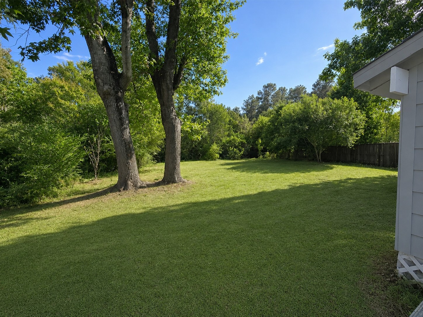 227 Live Oak Lane Property Photo 4