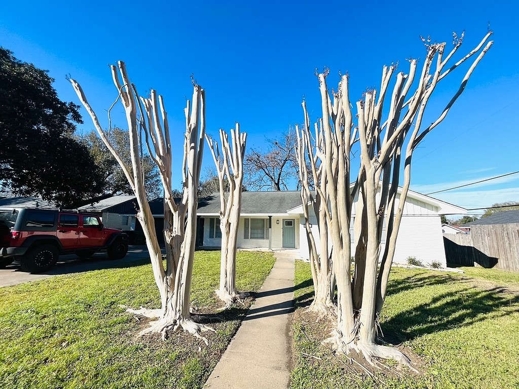 802 Spinn Street Property Photo 10