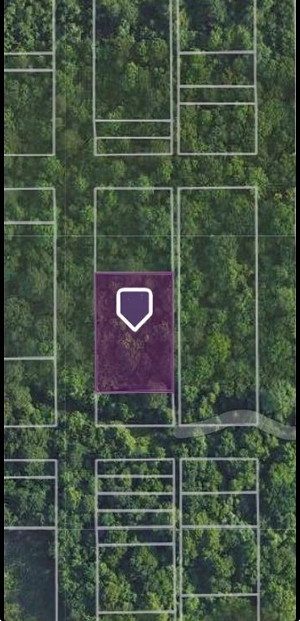 0 Washington Property Photo 15