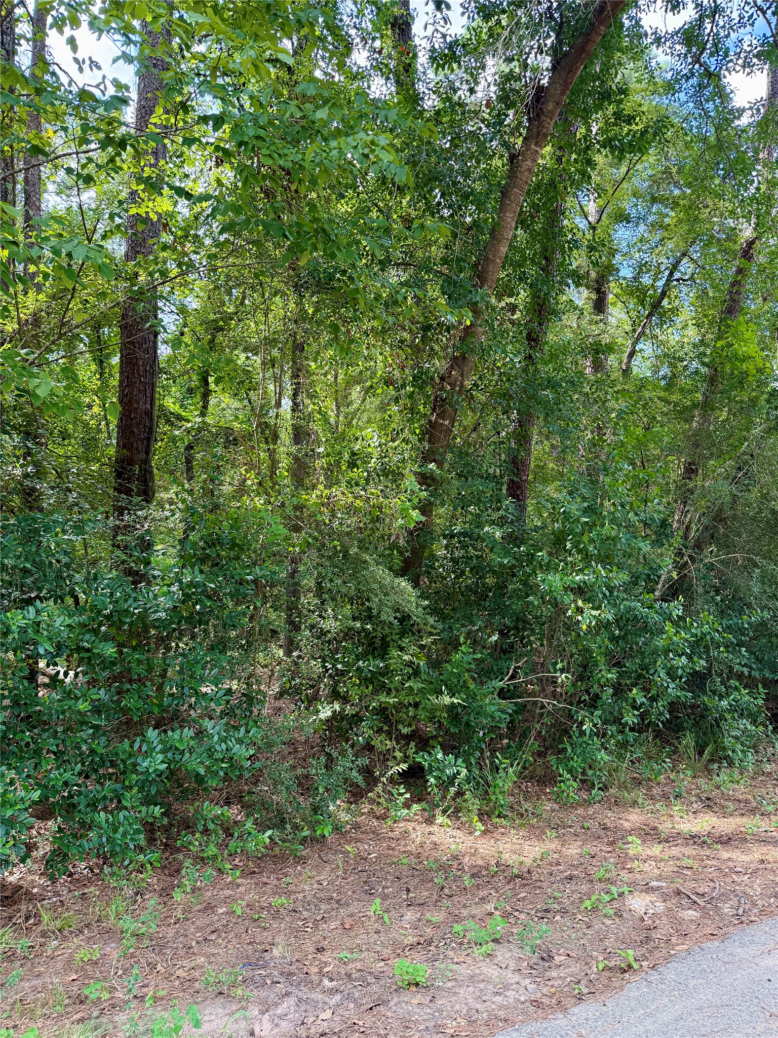 0 Cottonwood Cove Lane Property Photo 3