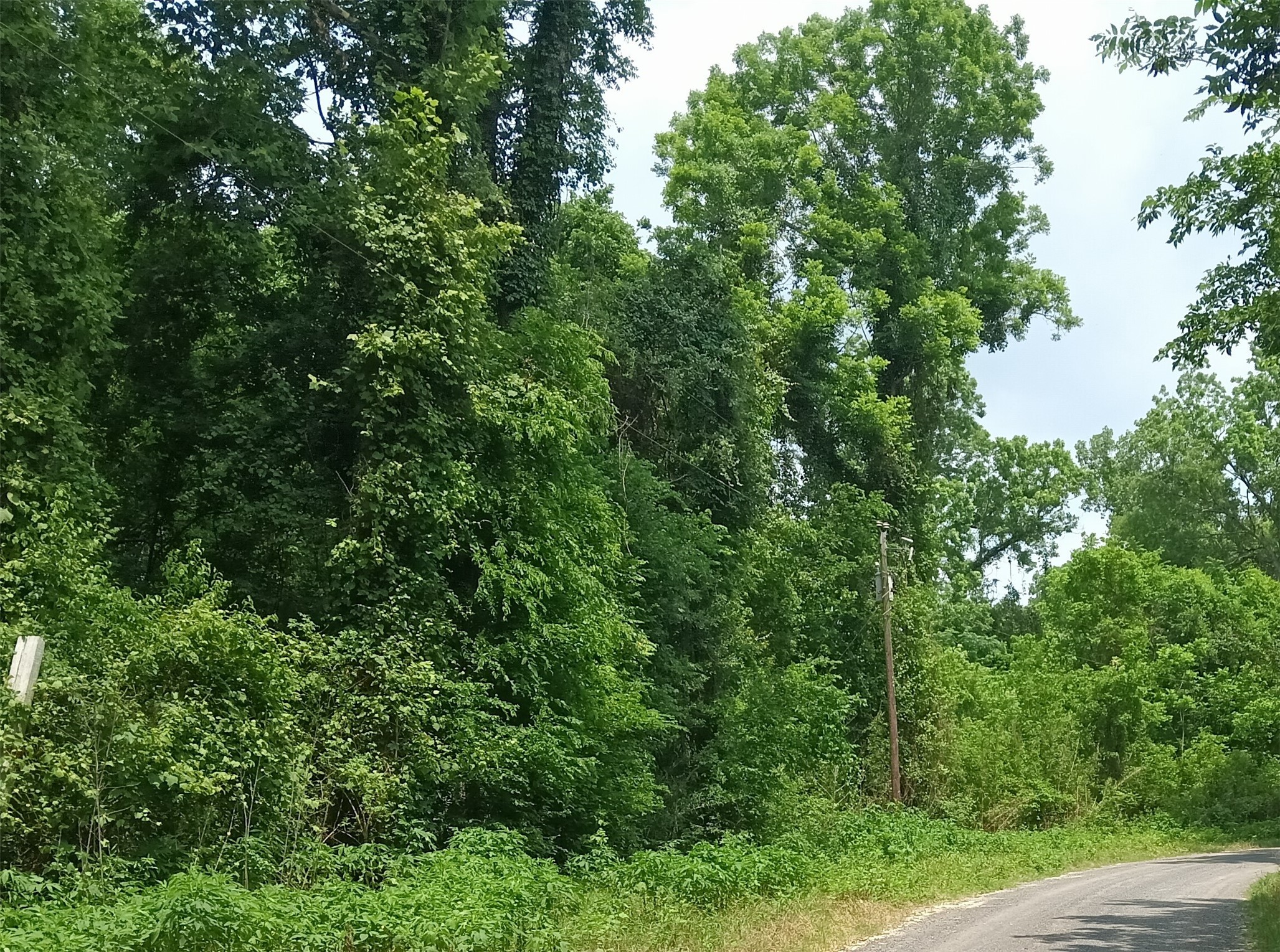 00 Tba County Road 2859 Property Photo 6