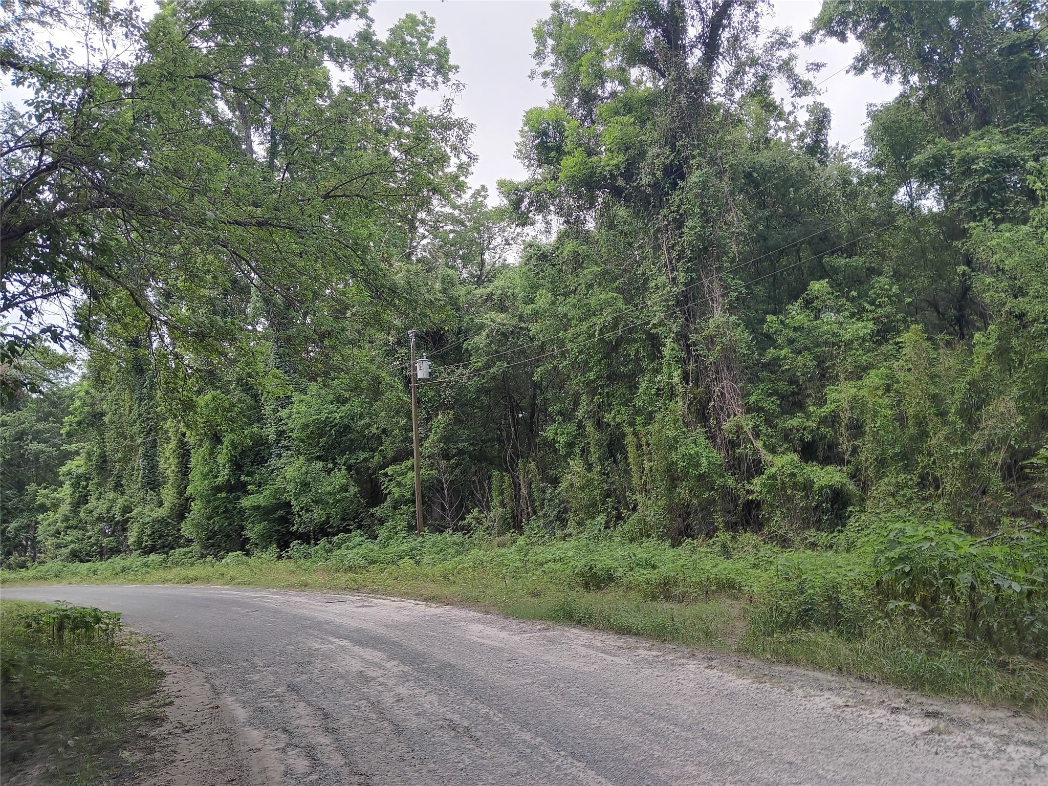 00 Tba County Road 2859 Property Photo 7