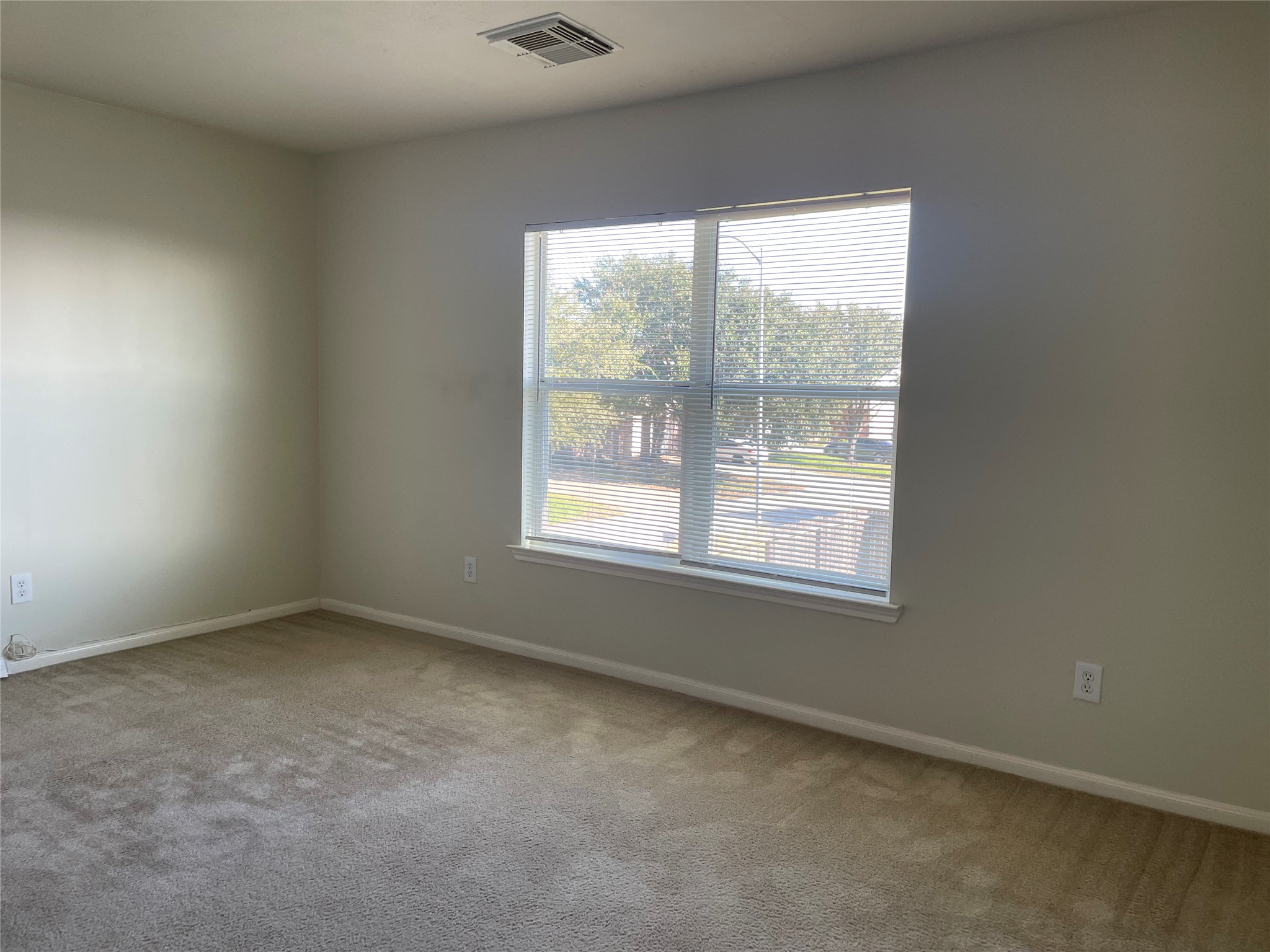 8103 Katie Mill Trail Property Photo 29