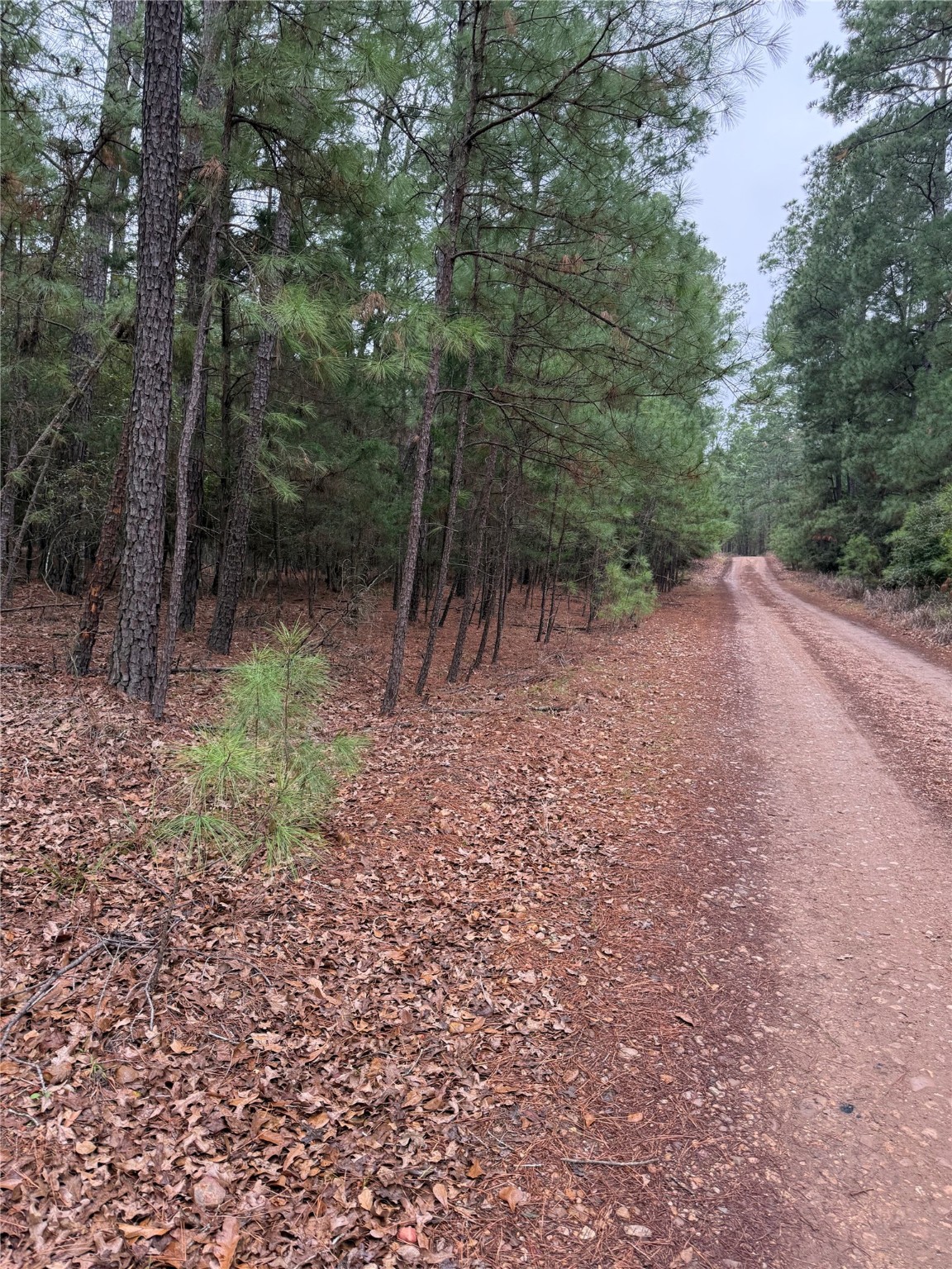 000 Red Fox Road Property Photo 2